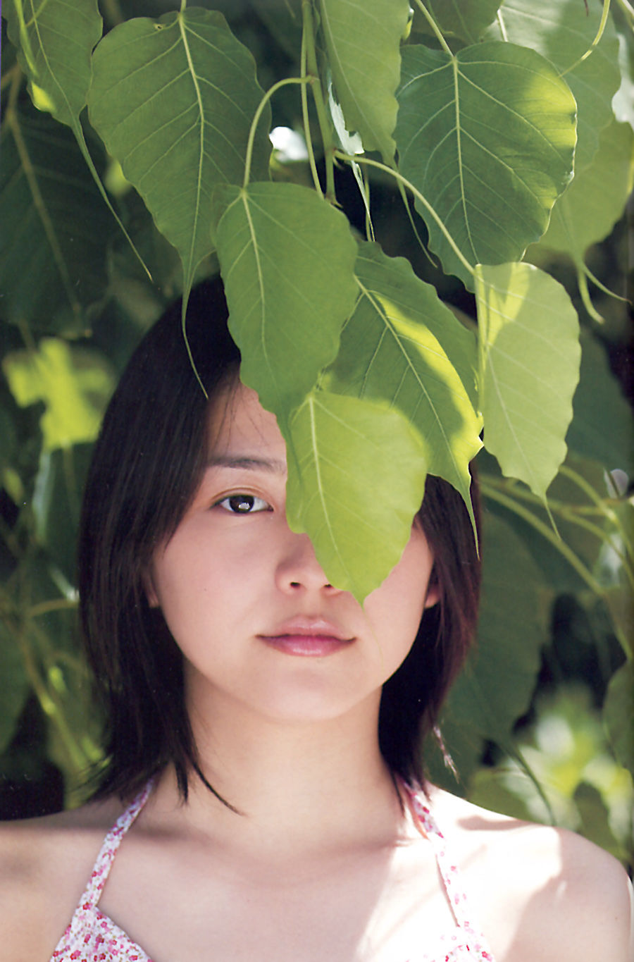 长泽雅美 「Summertime Blue」