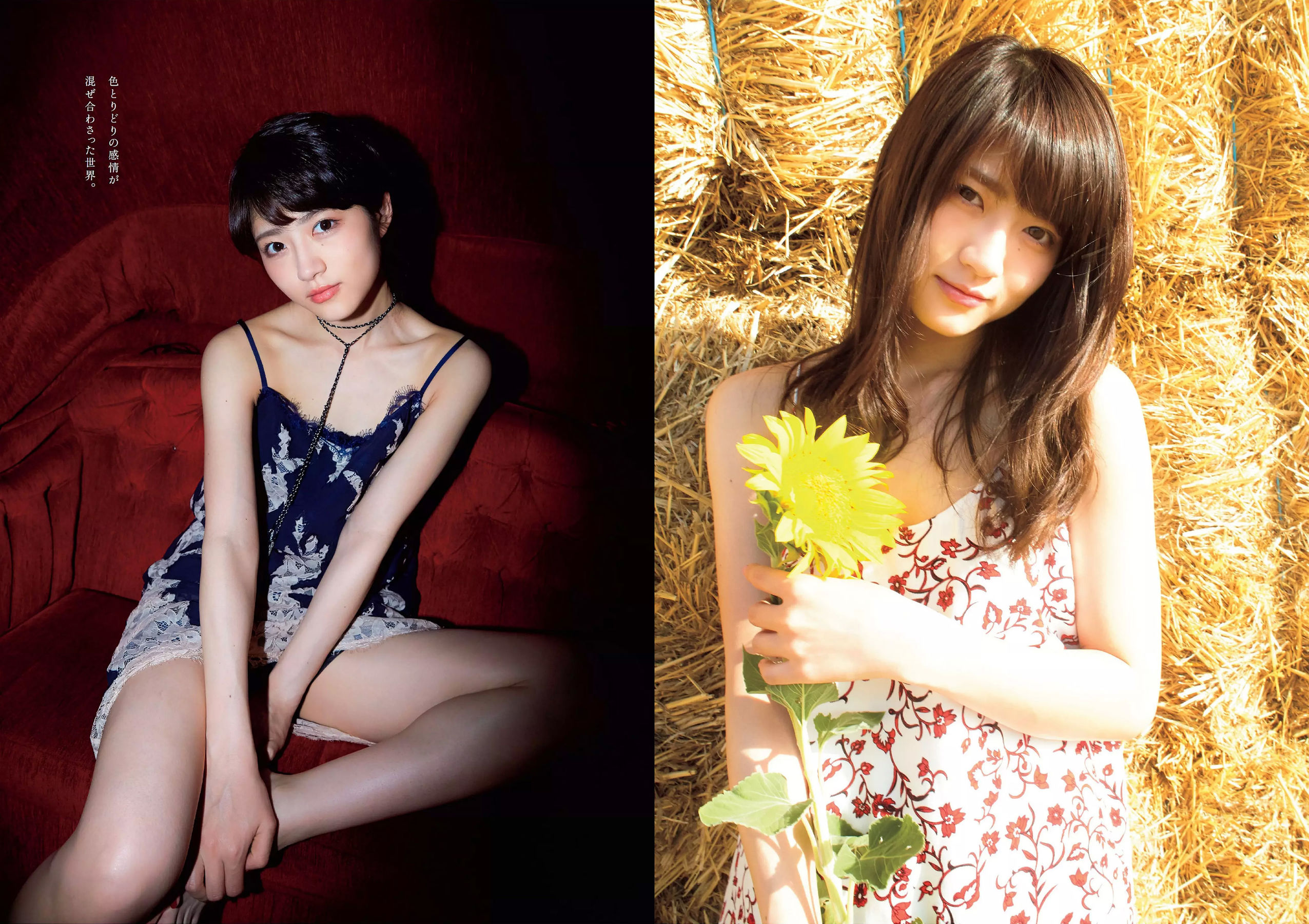 橋本マナミ 安藤咲桜 高田夏帆 若月佑美 鈴木友菜 園都 黒瀧まりあ [Weekly Playboy] 2017年No.47 写真杂志