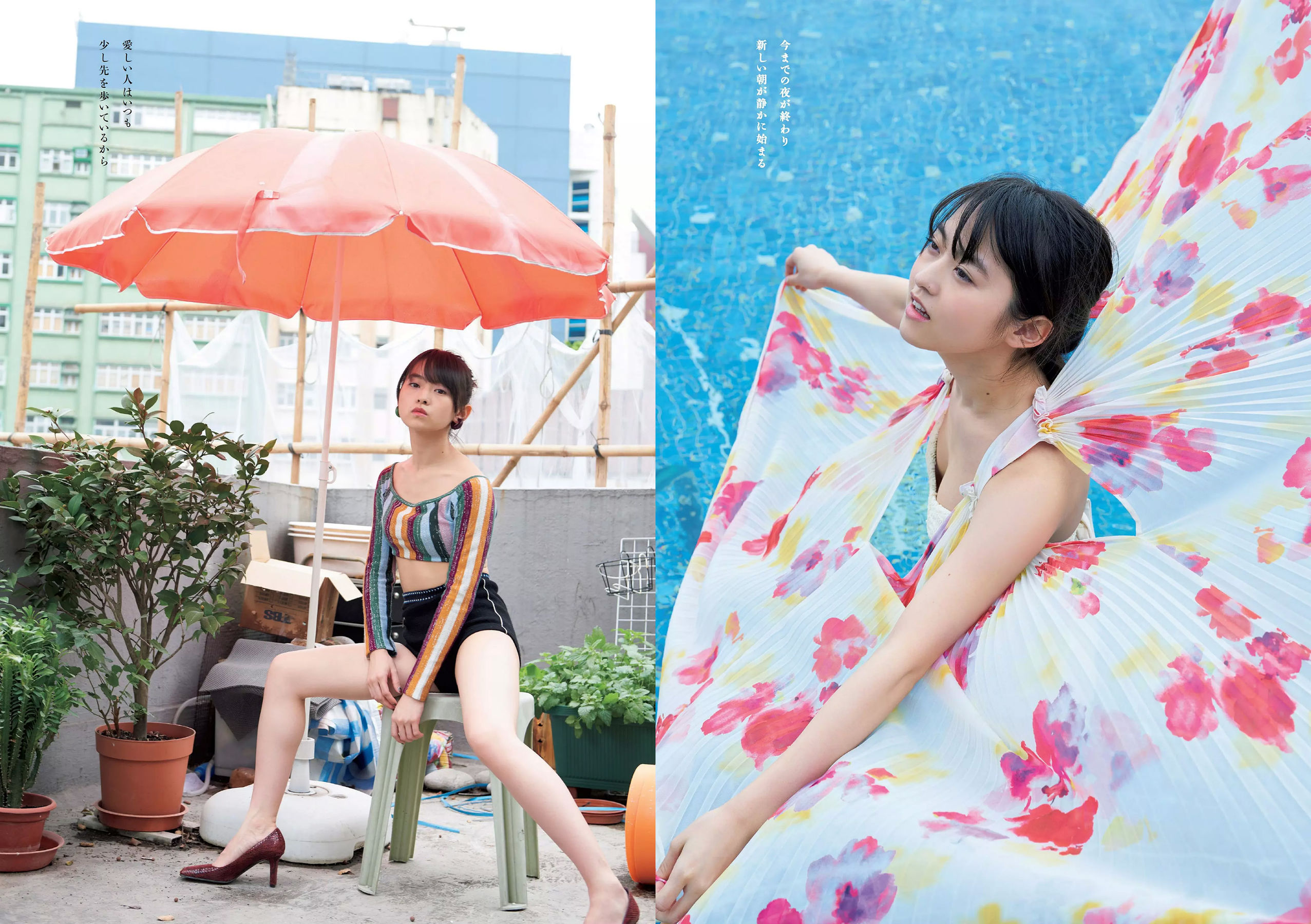 飯豊まりえ 松川菜々花 華村あすか 橘花凛 伊藤万理華 渡辺梨加 [Weekly Playboy] 2018年No.03-04 写真杂志