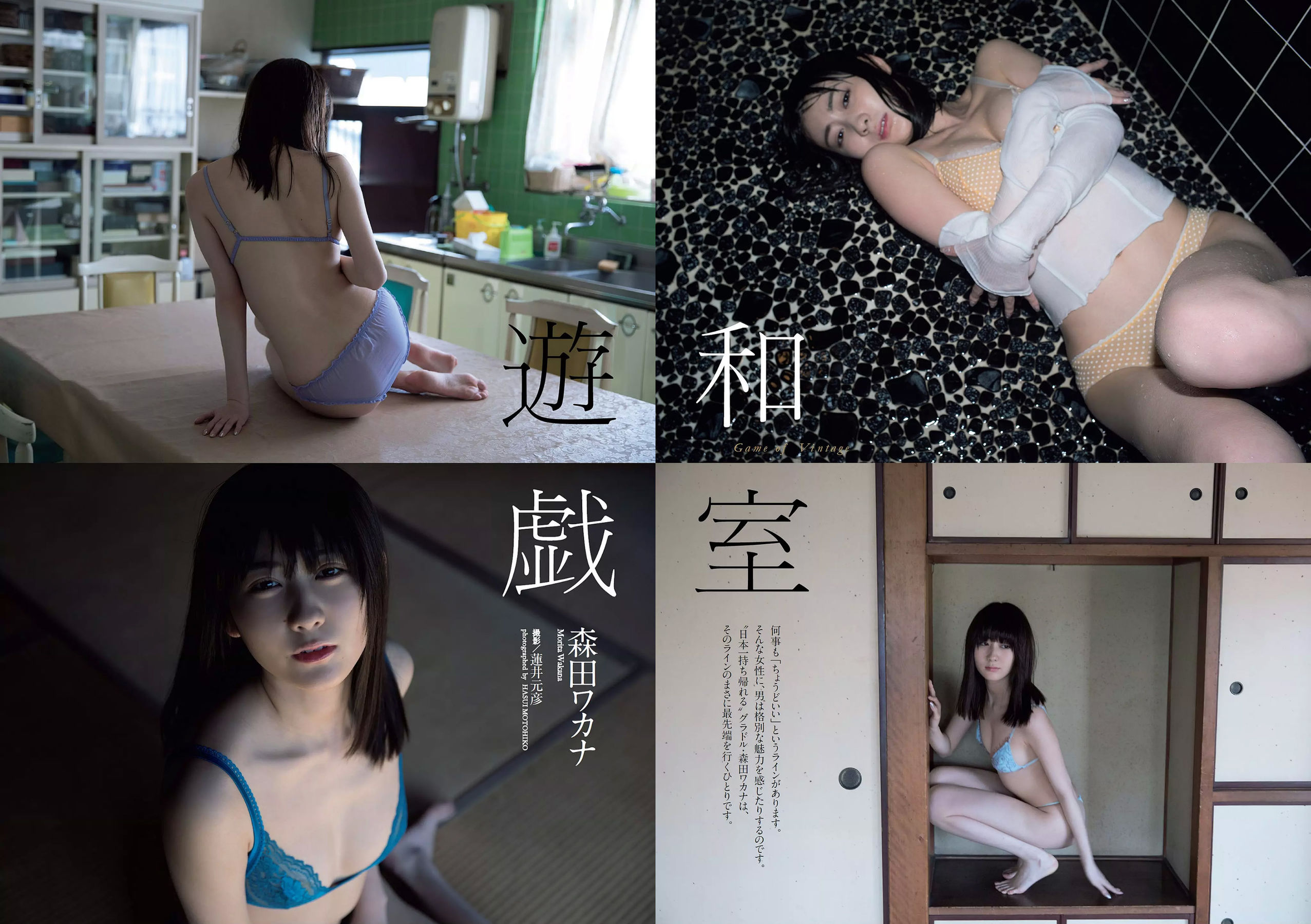 武田玲奈 森田ワカナ 加藤玲奈 傳谷英里香 大友花恋 伊藤寧々 桐谷まつり [Weekly Playboy] 2018年No.15 写真杂志
