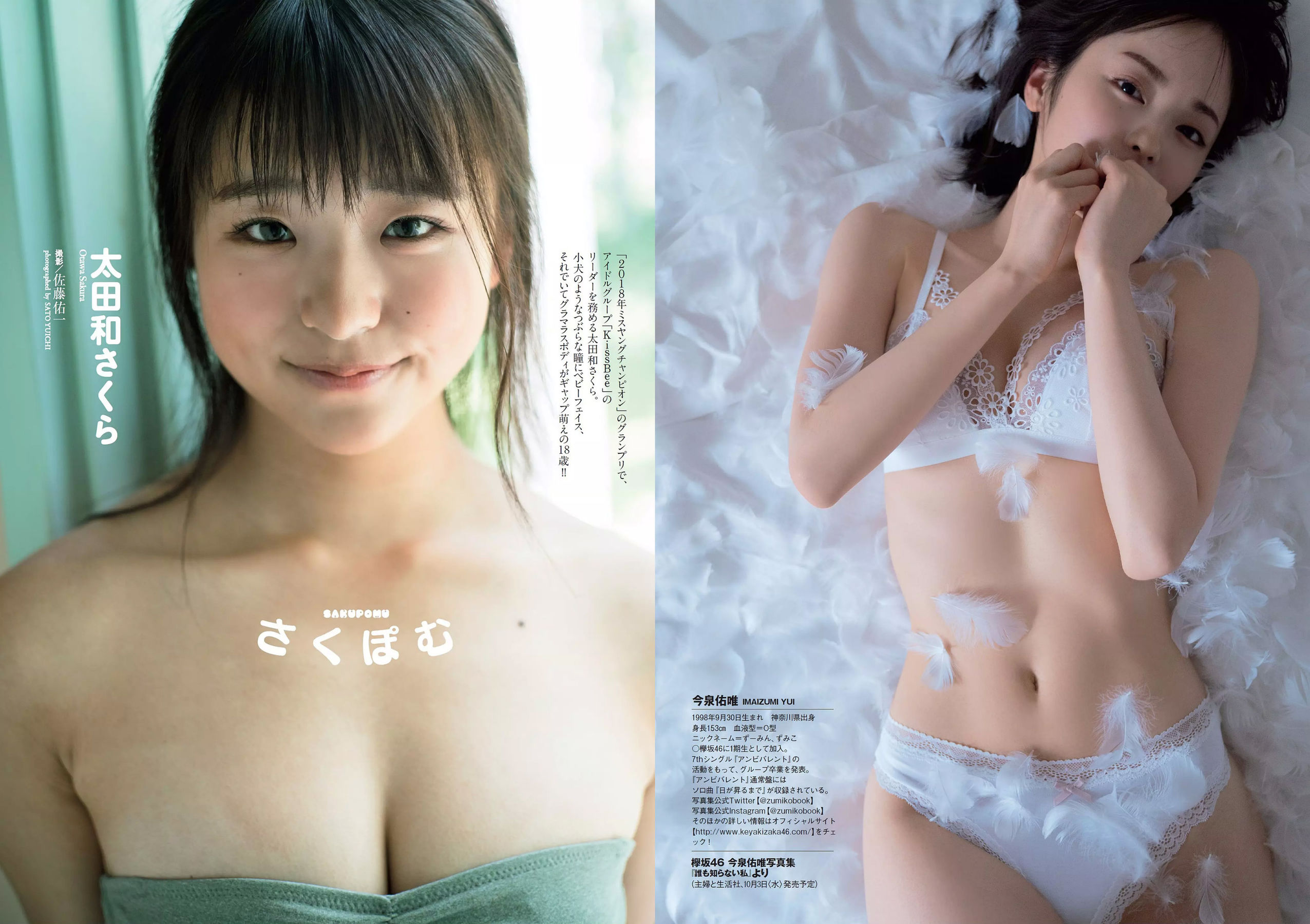 柳ゆり菜 今泉佑唯 太田和さくら 黒木麗奈 月城まゆ 橋本杏奈 遠野舞子 [Weekly Playboy] 2018年No.41 写真杂志
