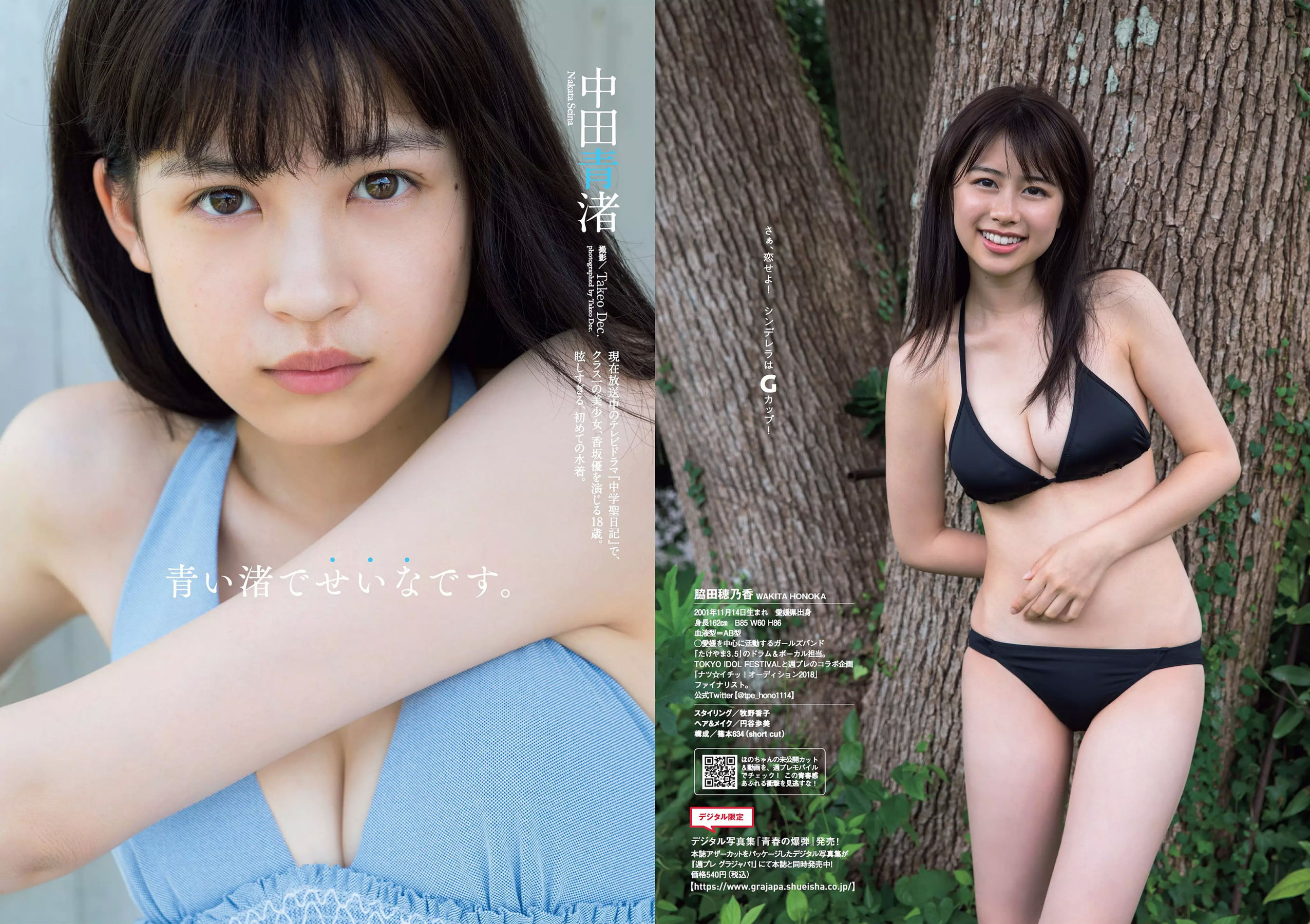 脇田穂乃香 中田青渚 中森千尋 新條由芽 芋生悠 萩田帆風 玉井らん [Weekly Playboy] 2018年No.45 写真杂志