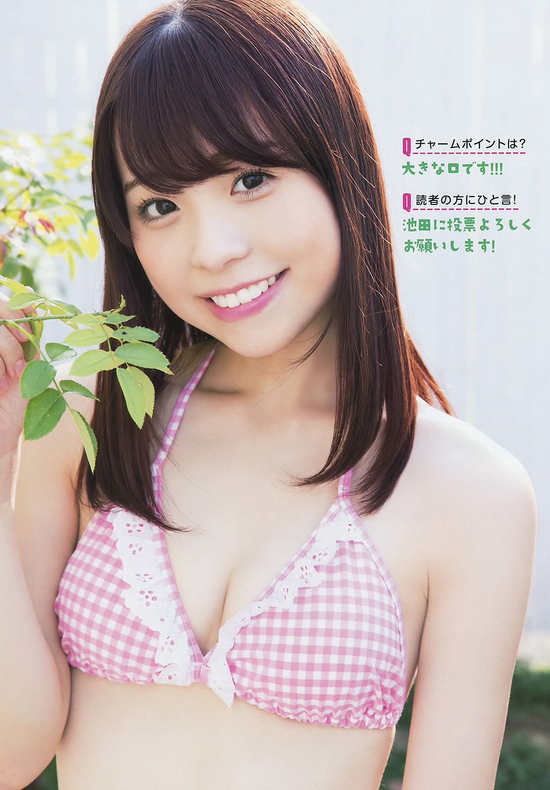 池田優花 葵あおい MIYU 夏目爱海 木内くるみ 横山あみ(横山亚美) [Young Animal] 2017年No.22 写真杂志