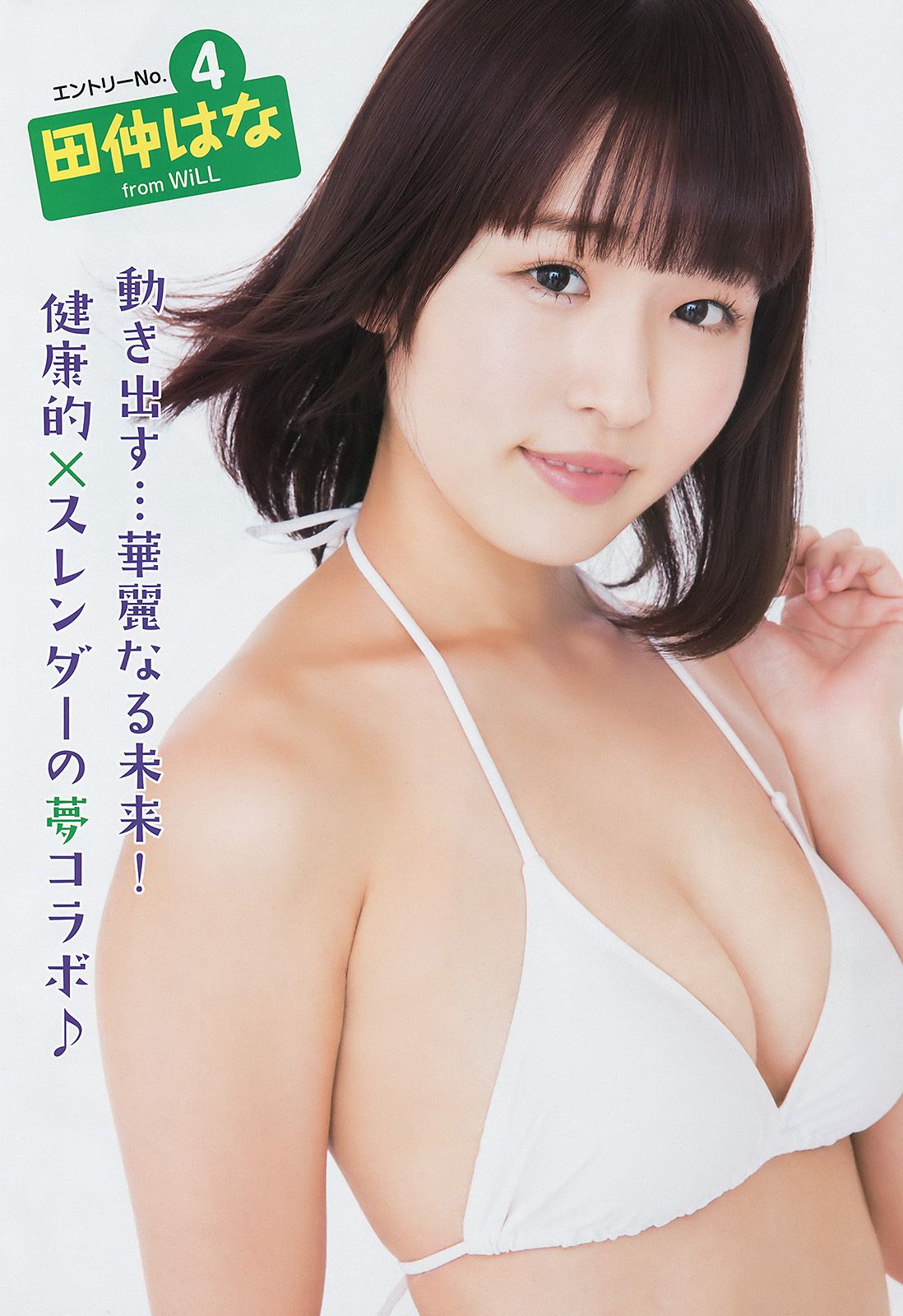 池田優花 葵あおい MIYU 夏目爱海 木内くるみ 横山あみ(横山亚美) [Young Animal] 2017年No.22 写真杂志