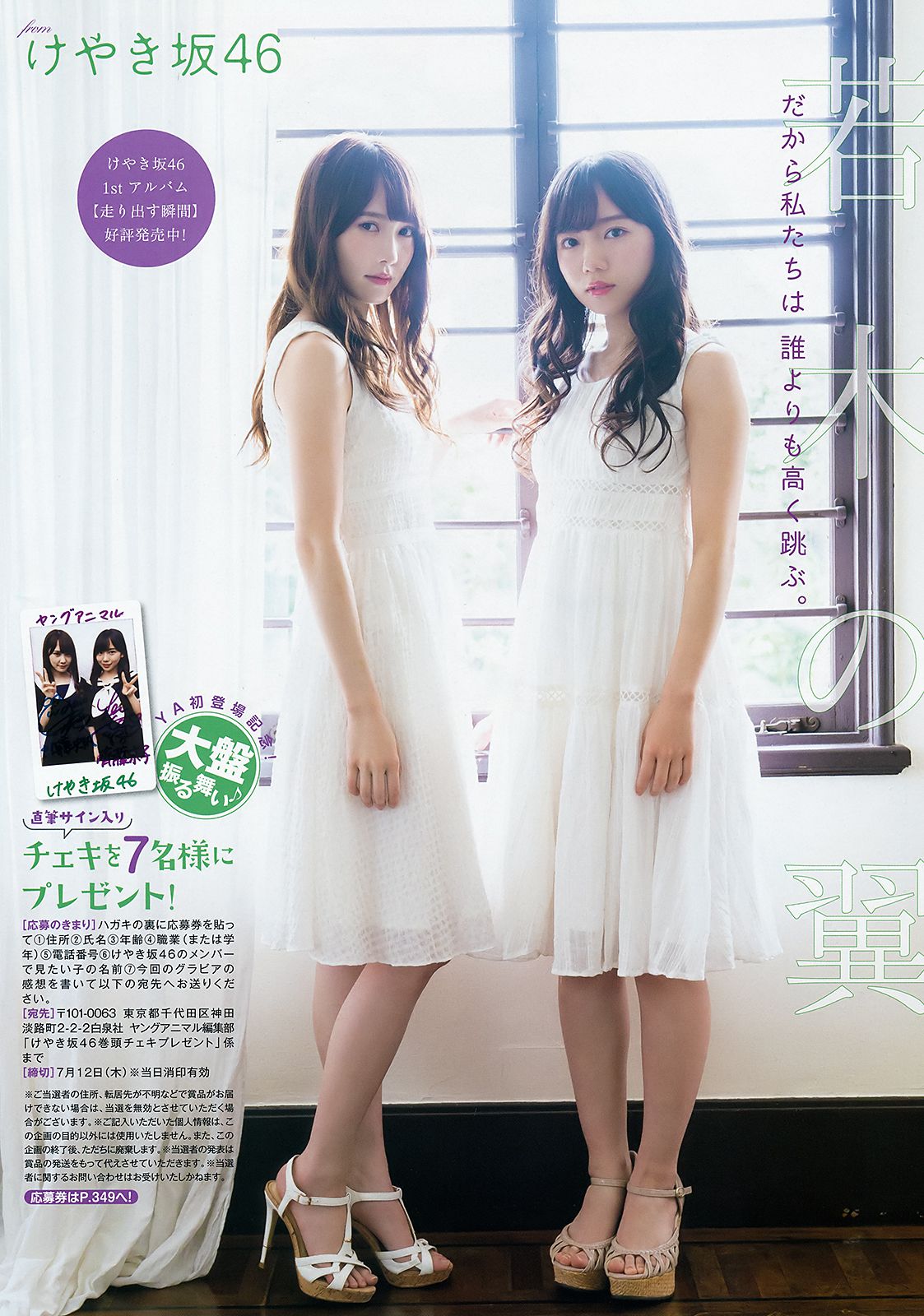 齊藤京子 加藤史帆 高瀬愛奈 潮紗理菜 [Young Animal] 2018年No.13 写真杂志