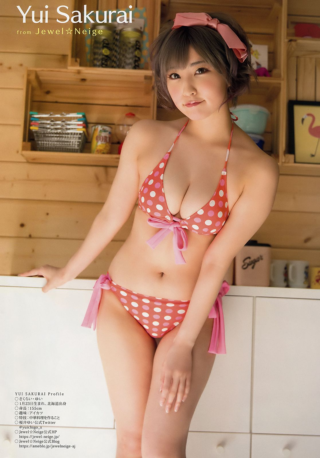 大原優乃 yui sakurai [Young Animal] 2018年No.15 写真杂志