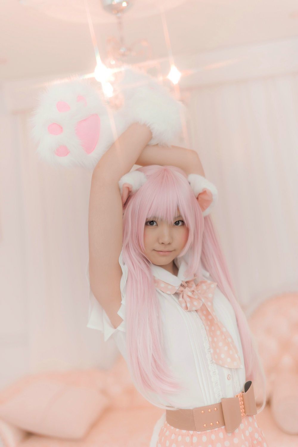 Enako(えなこ) [Enacat] Necomimi (ネコ耳)(White)