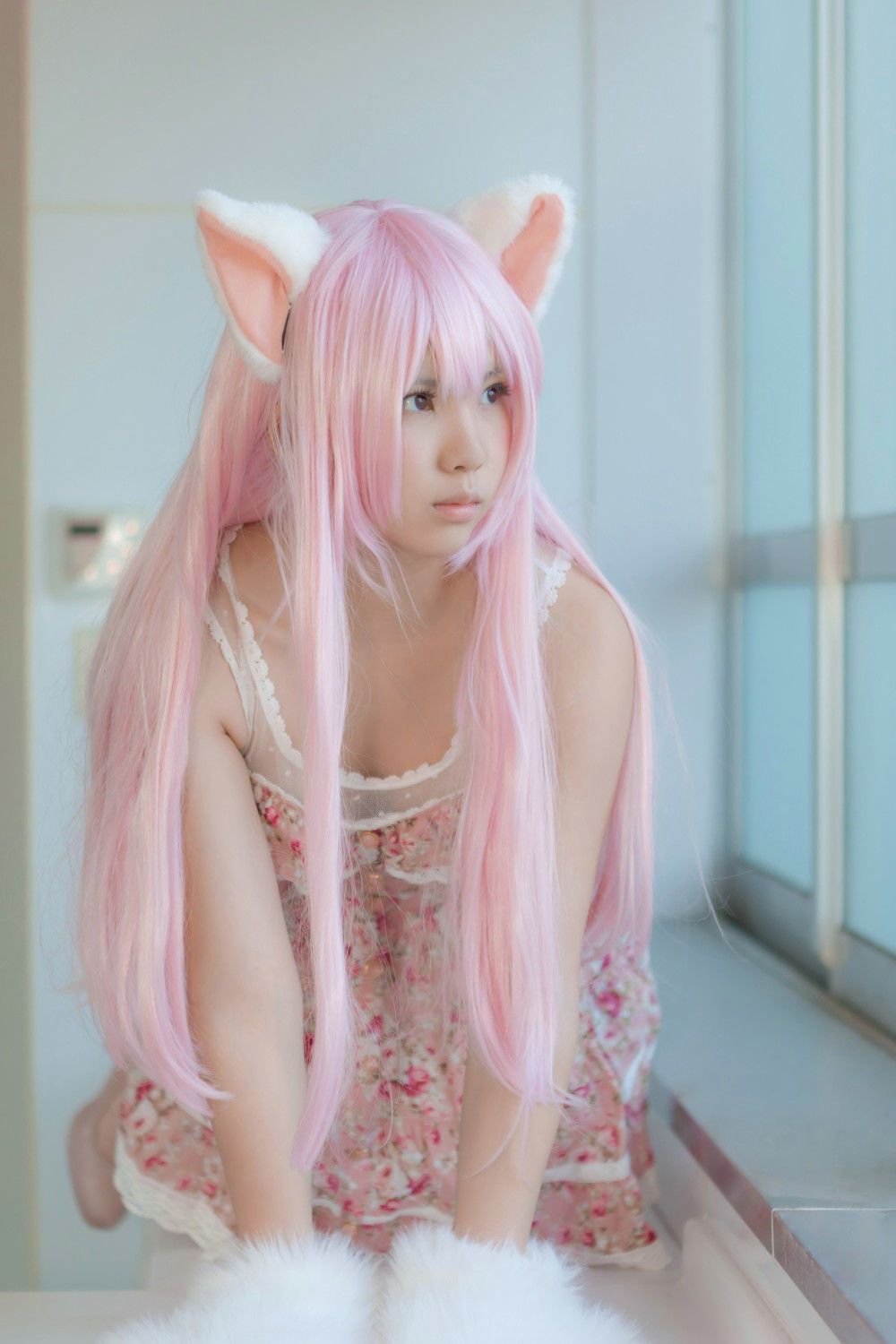 Enako(えなこ) [Enacat] Necomimi (ネコ耳)(White)