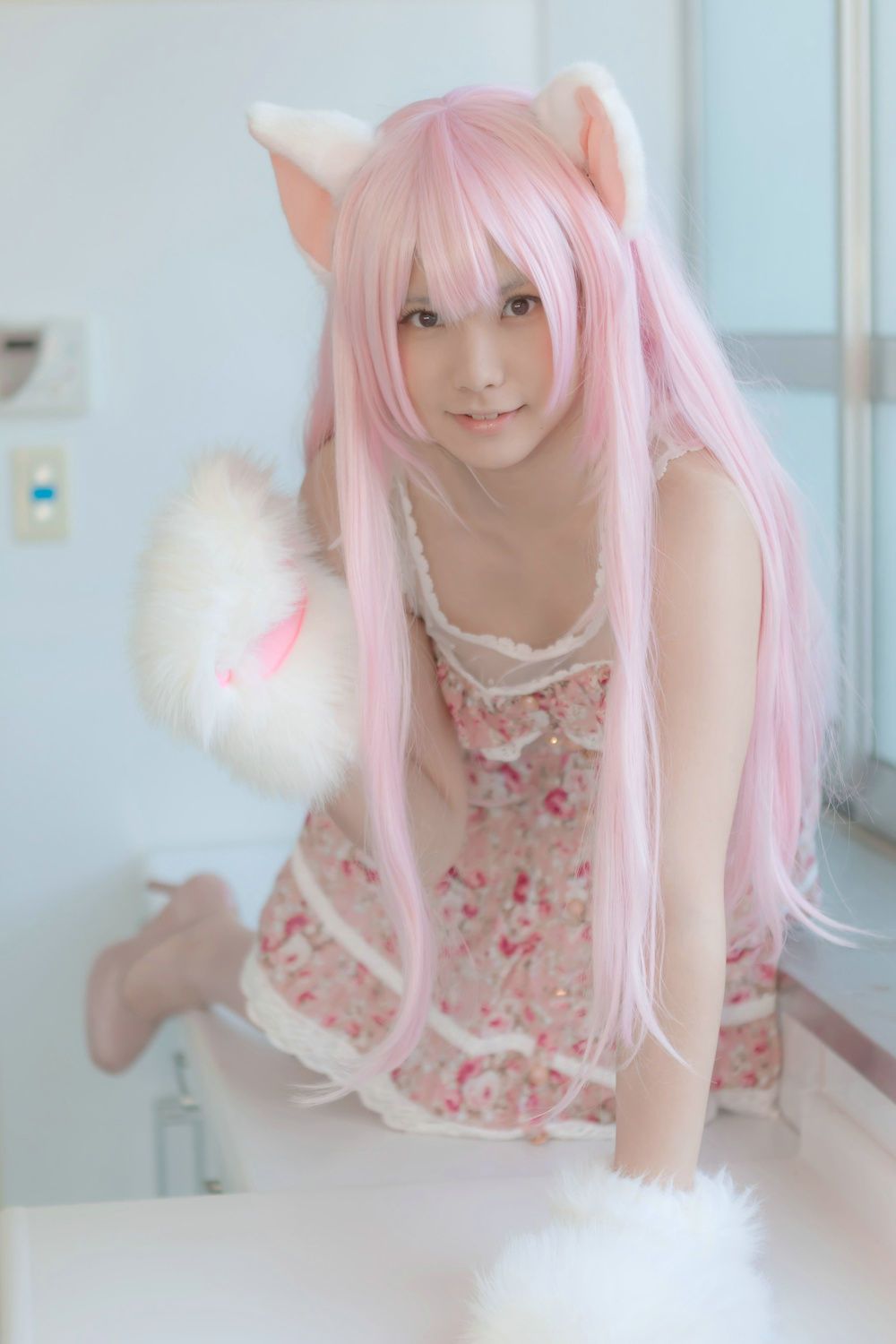 Enako(えなこ) [Enacat] Necomimi (ネコ耳)(White)