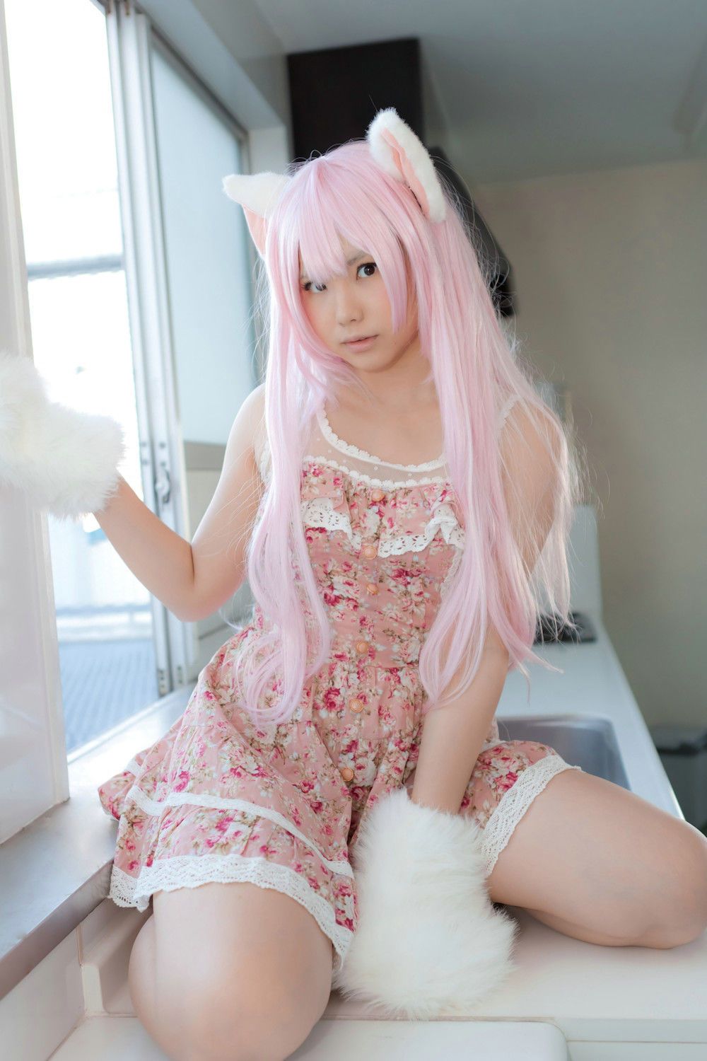 Enako(えなこ) [Enacat] Necomimi (ネコ耳)(White)