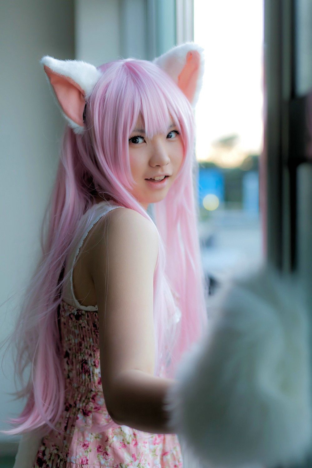 Enako(えなこ) [Enacat] Necomimi (ネコ耳)(White)