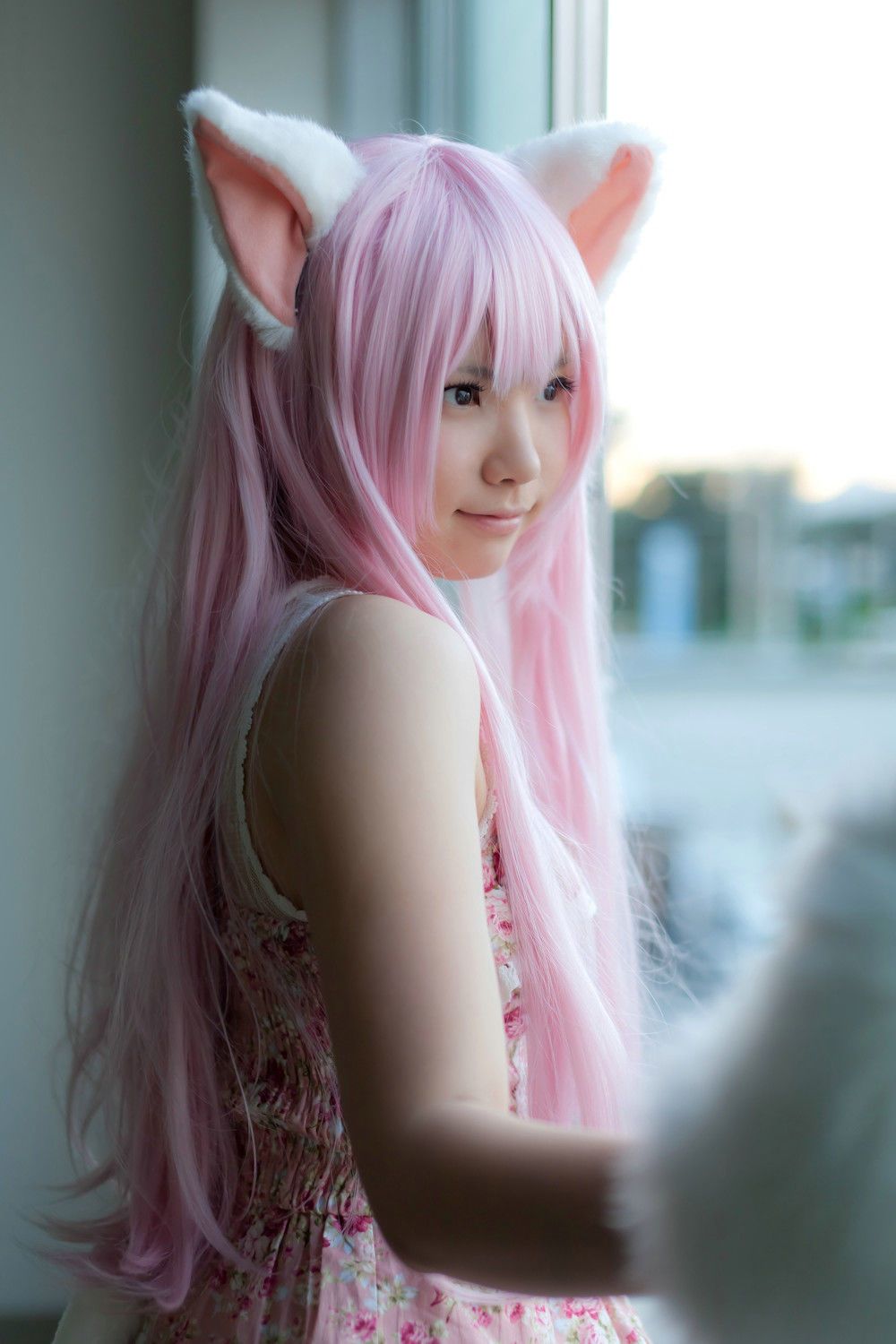 Enako(えなこ) [Enacat] Necomimi (ネコ耳)(White)