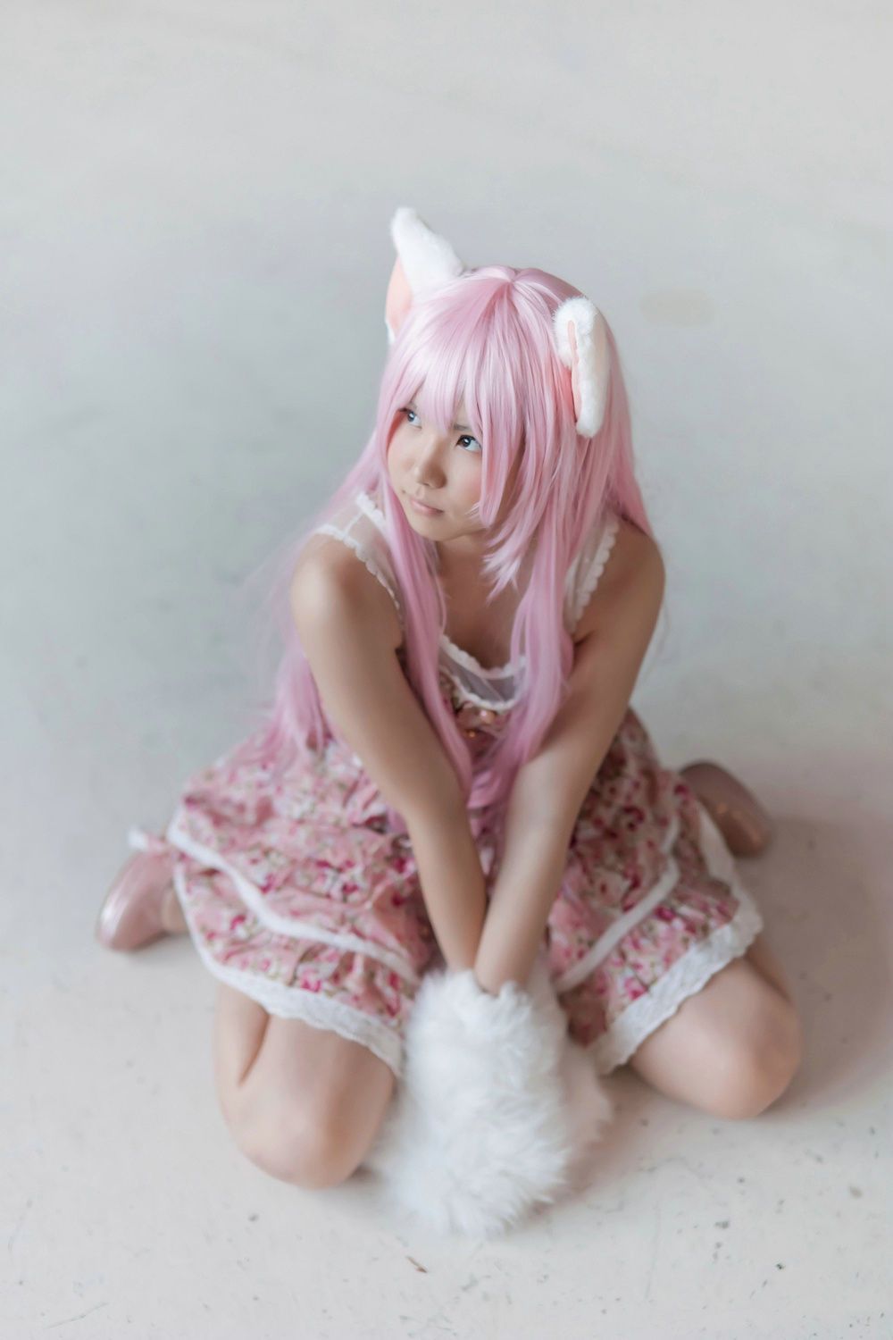 Enako(えなこ) [Enacat] Necomimi (ネコ耳)(White)