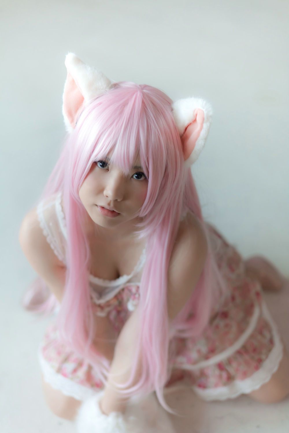 Enako(えなこ) [Enacat] Necomimi (ネコ耳)(White)