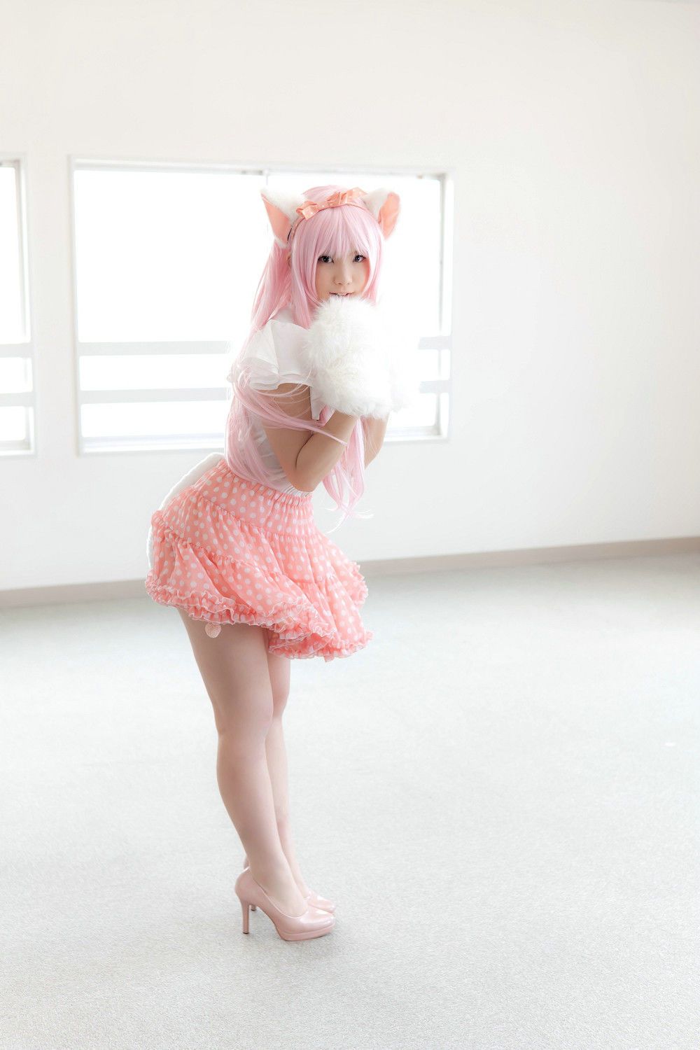 Enako(えなこ) [Enacat] Necomimi (ネコ耳)(White)