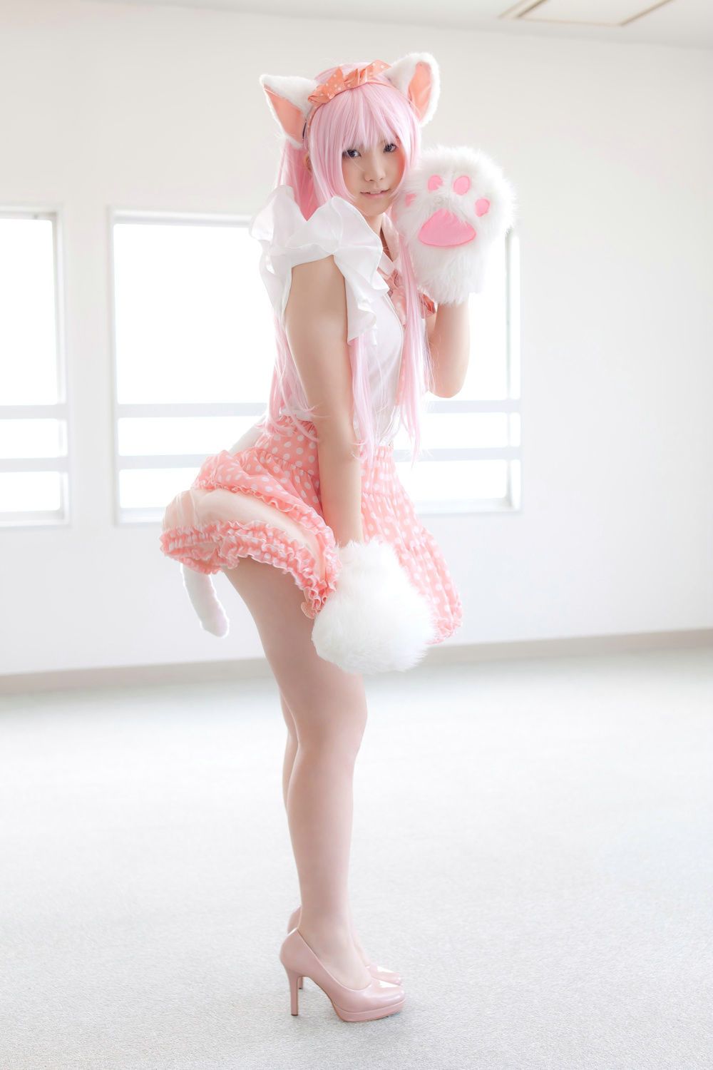 Enako(えなこ) [Enacat] Necomimi (ネコ耳)(White)