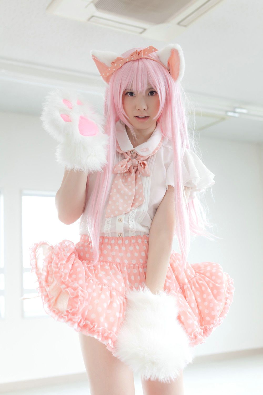 Enako(えなこ) [Enacat] Necomimi (ネコ耳)(White)