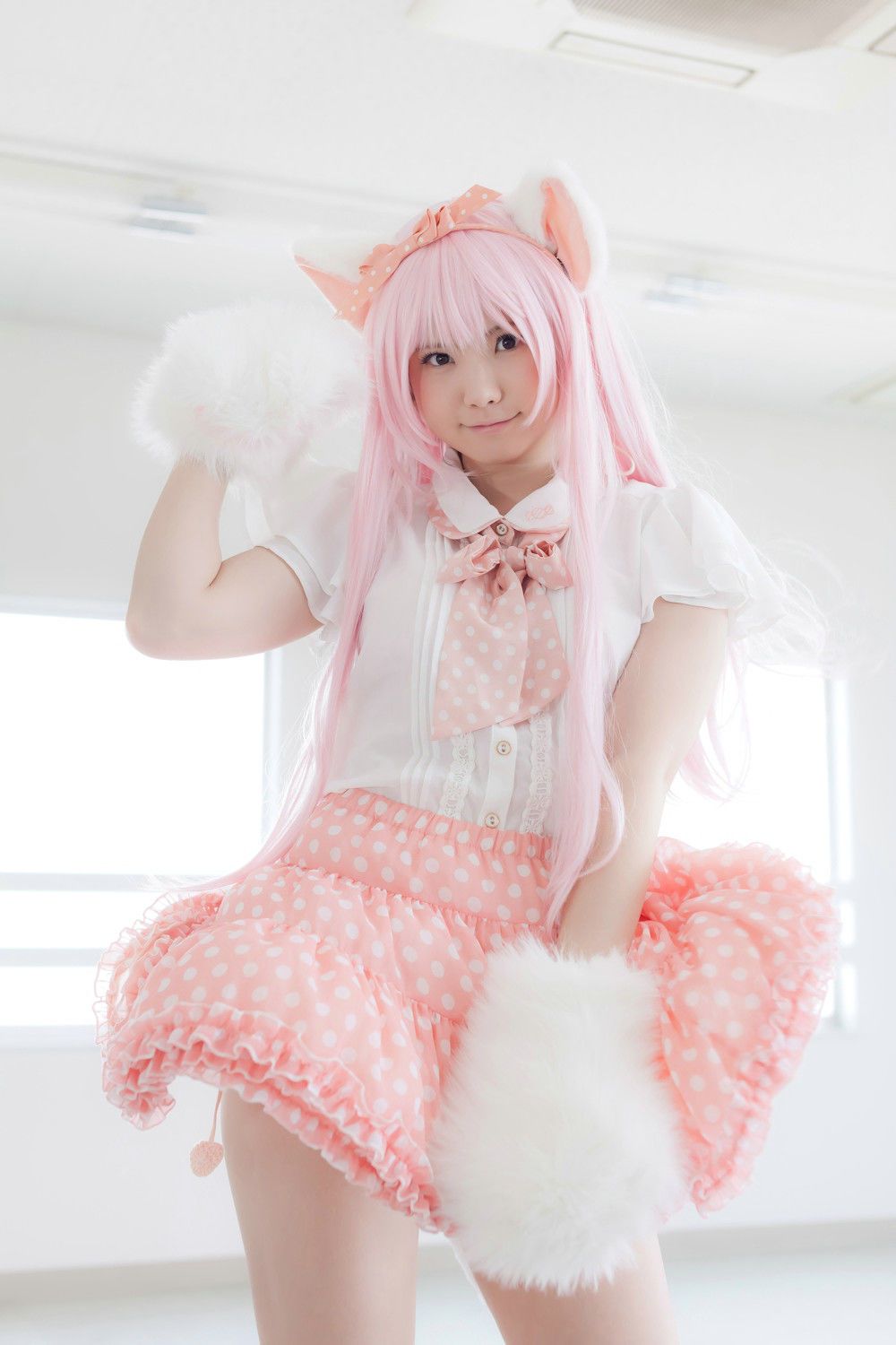 Enako(えなこ) [Enacat] Necomimi (ネコ耳)(White)