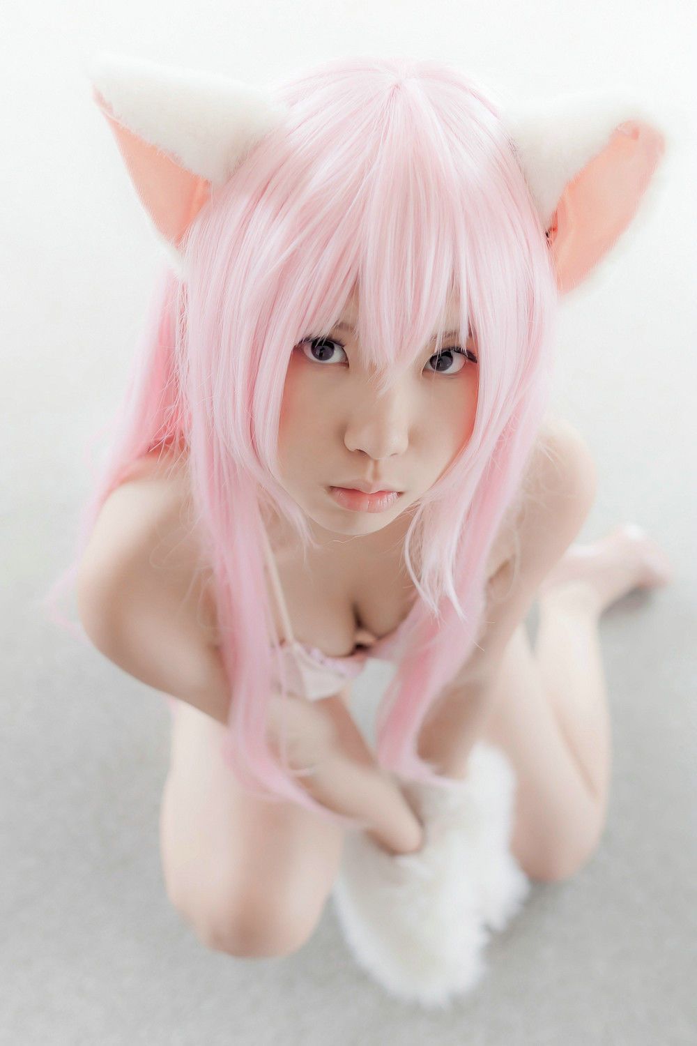 Enako(えなこ) [Enacat] Necomimi (ネコ耳)(White)