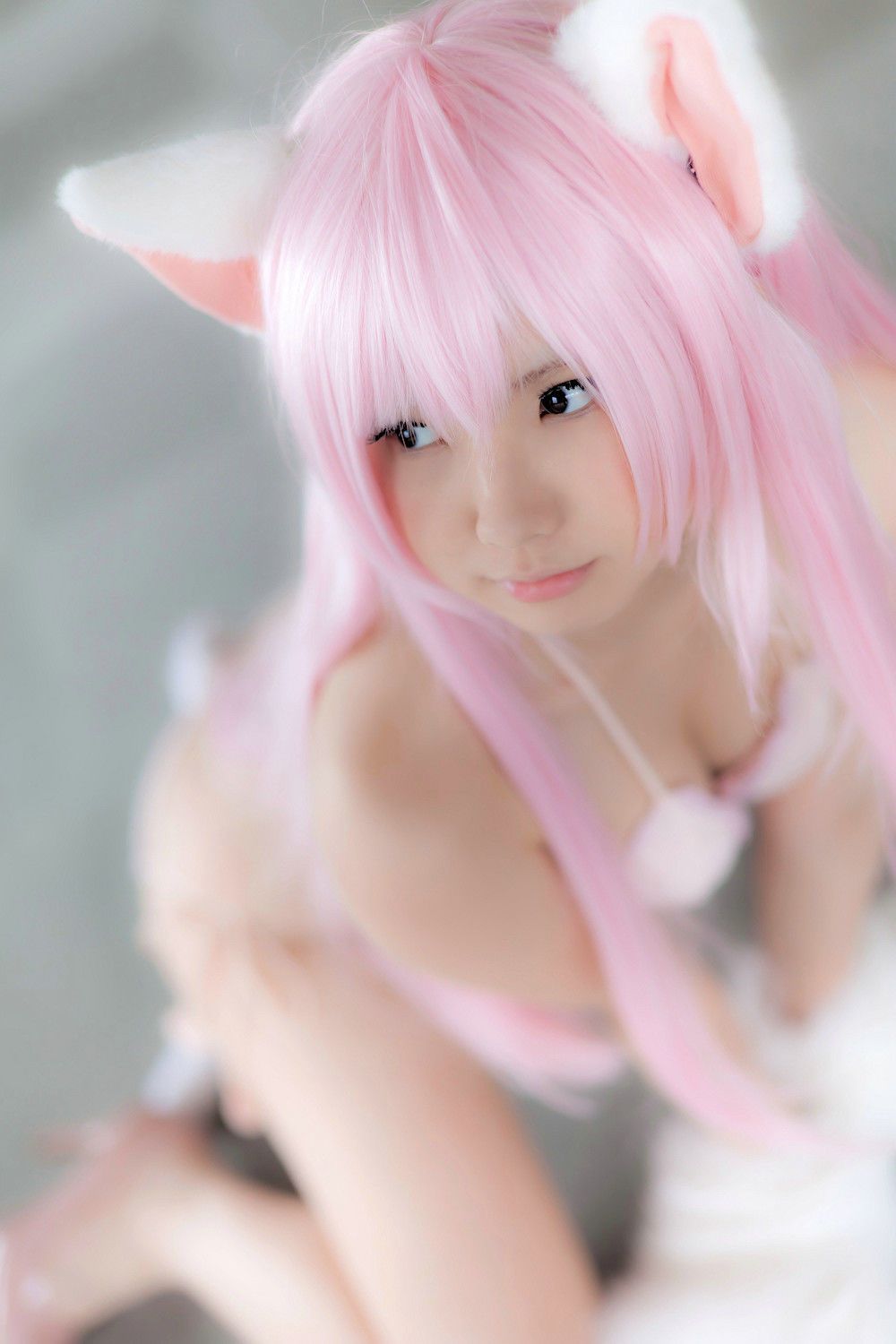 Enako(えなこ) [Enacat] Necomimi (ネコ耳)(White)