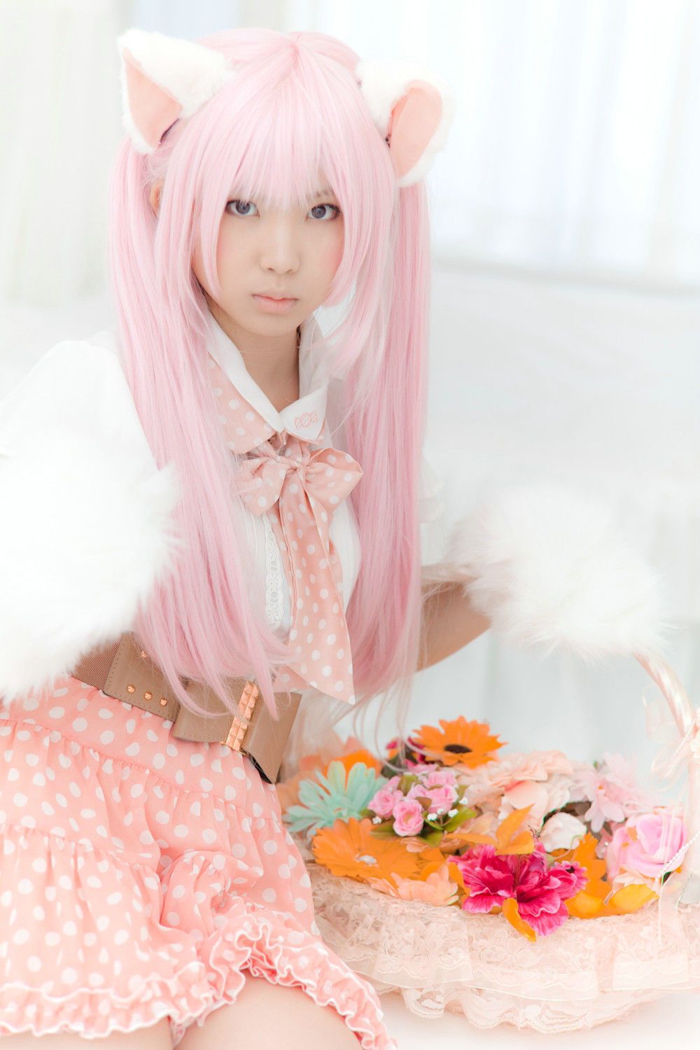 Enako(えなこ) [Enacat] Necomimi (ネコ耳)(White)