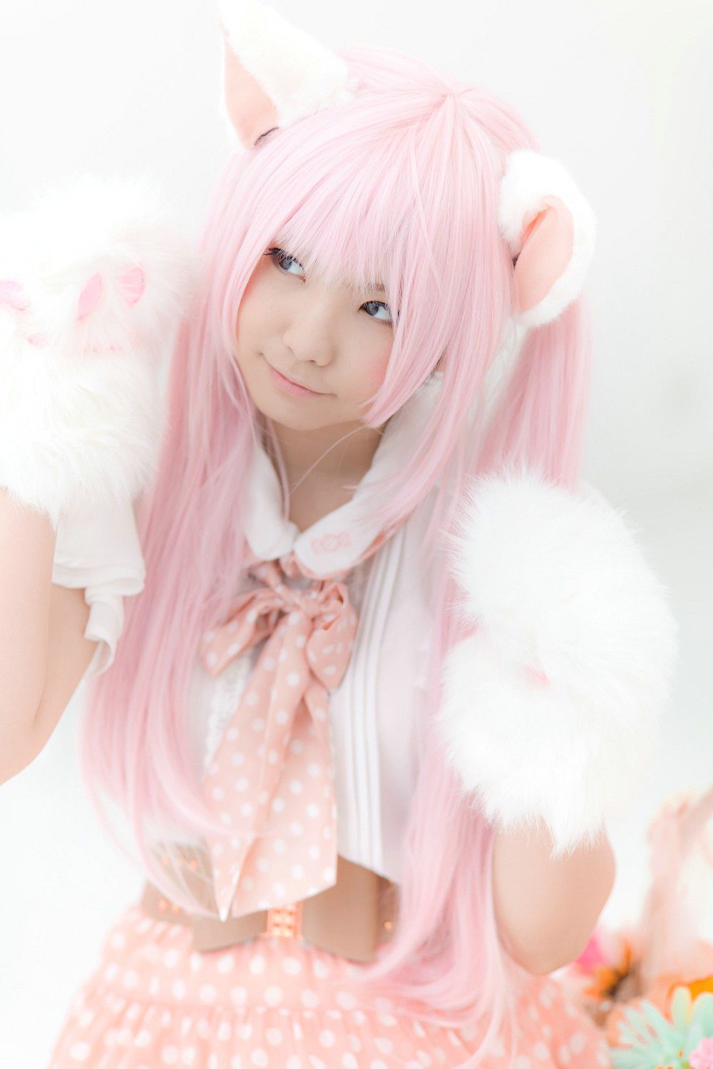 Enako(えなこ) [Enacat] Necomimi (ネコ耳)(White)