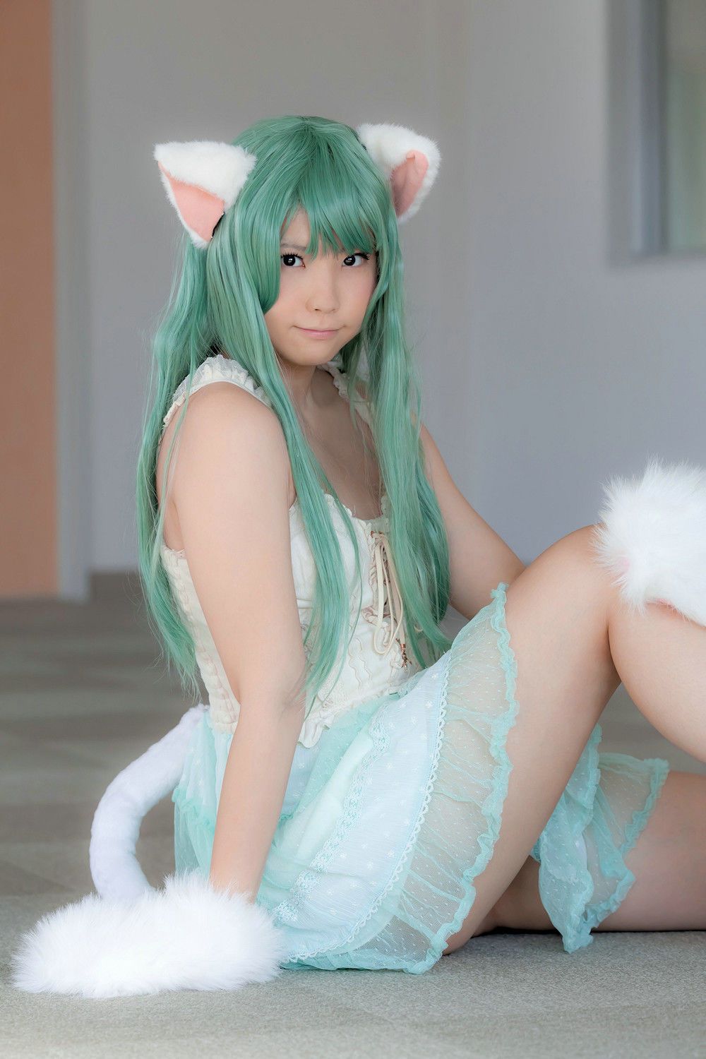 Enako(えなこ) [Enacat] Necomimi (ネコ耳)(White)