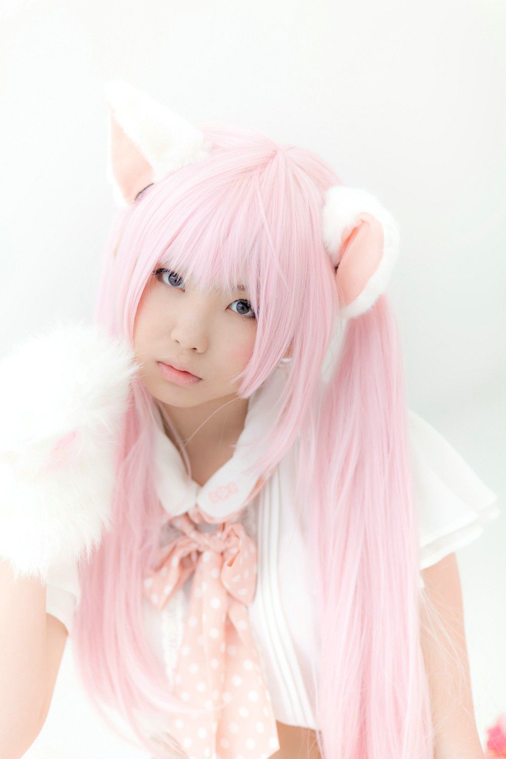 Enako(えなこ) [Enacat] Necomimi (ネコ耳)(White)