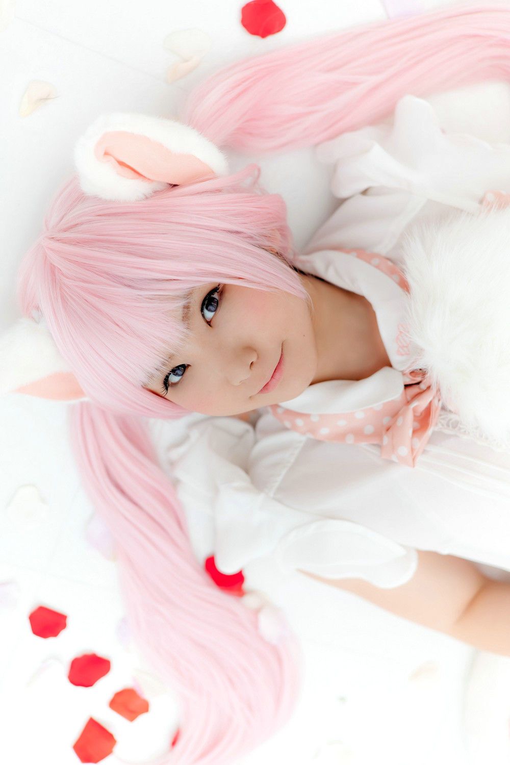 Enako(えなこ) [Enacat] Necomimi (ネコ耳)(White)