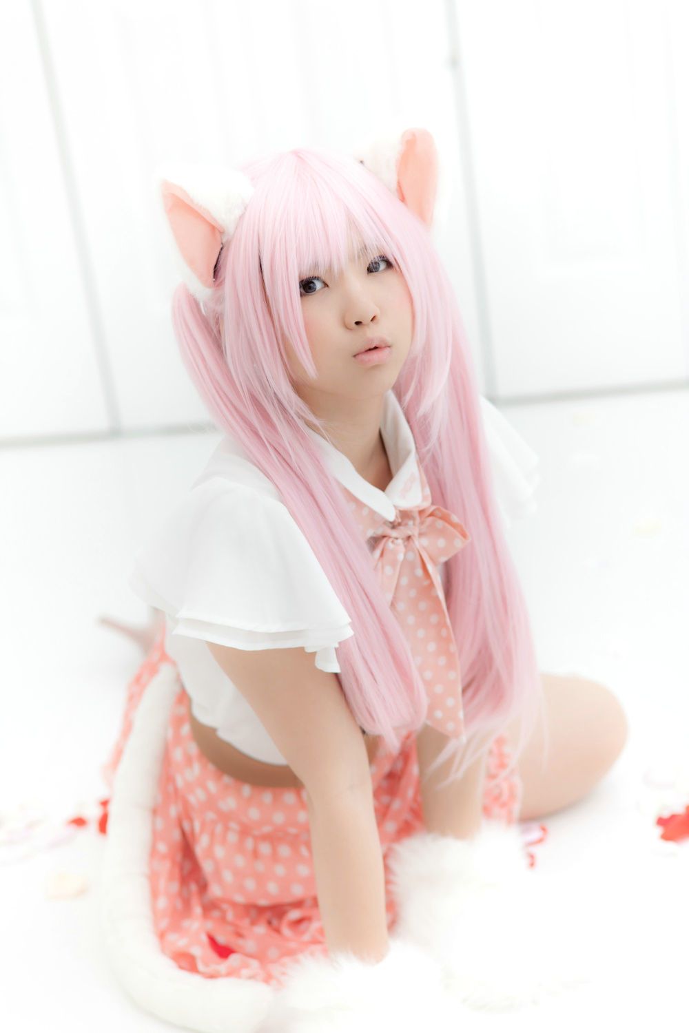 Enako(えなこ) [Enacat] Necomimi (ネコ耳)(White)