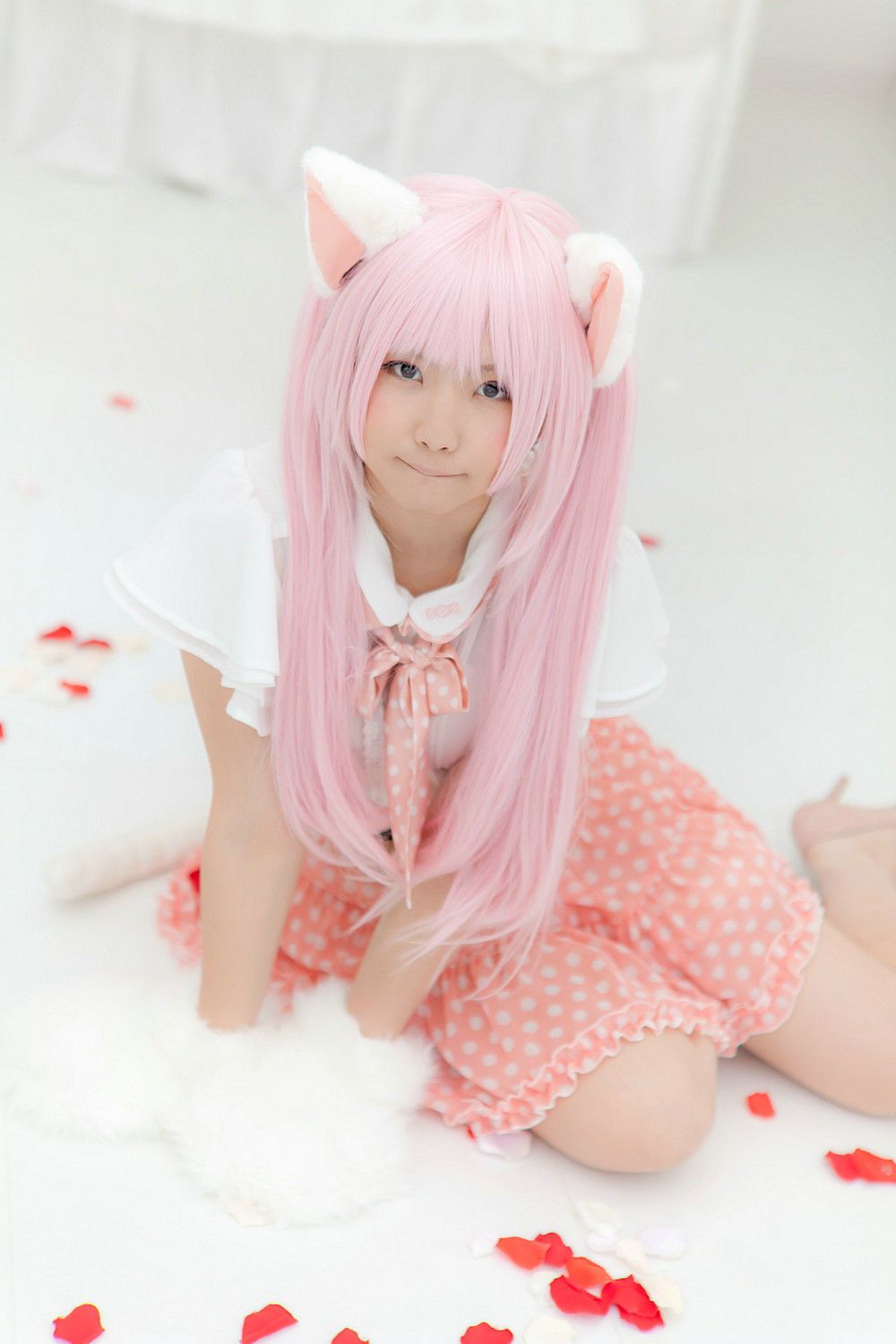 Enako(えなこ) [Enacat] Necomimi (ネコ耳)(White)