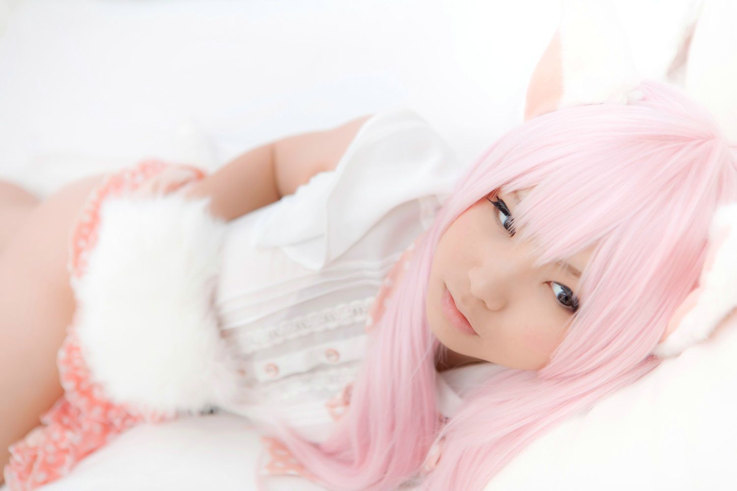 Enako(えなこ) [Enacat] Necomimi (ネコ耳)(White)