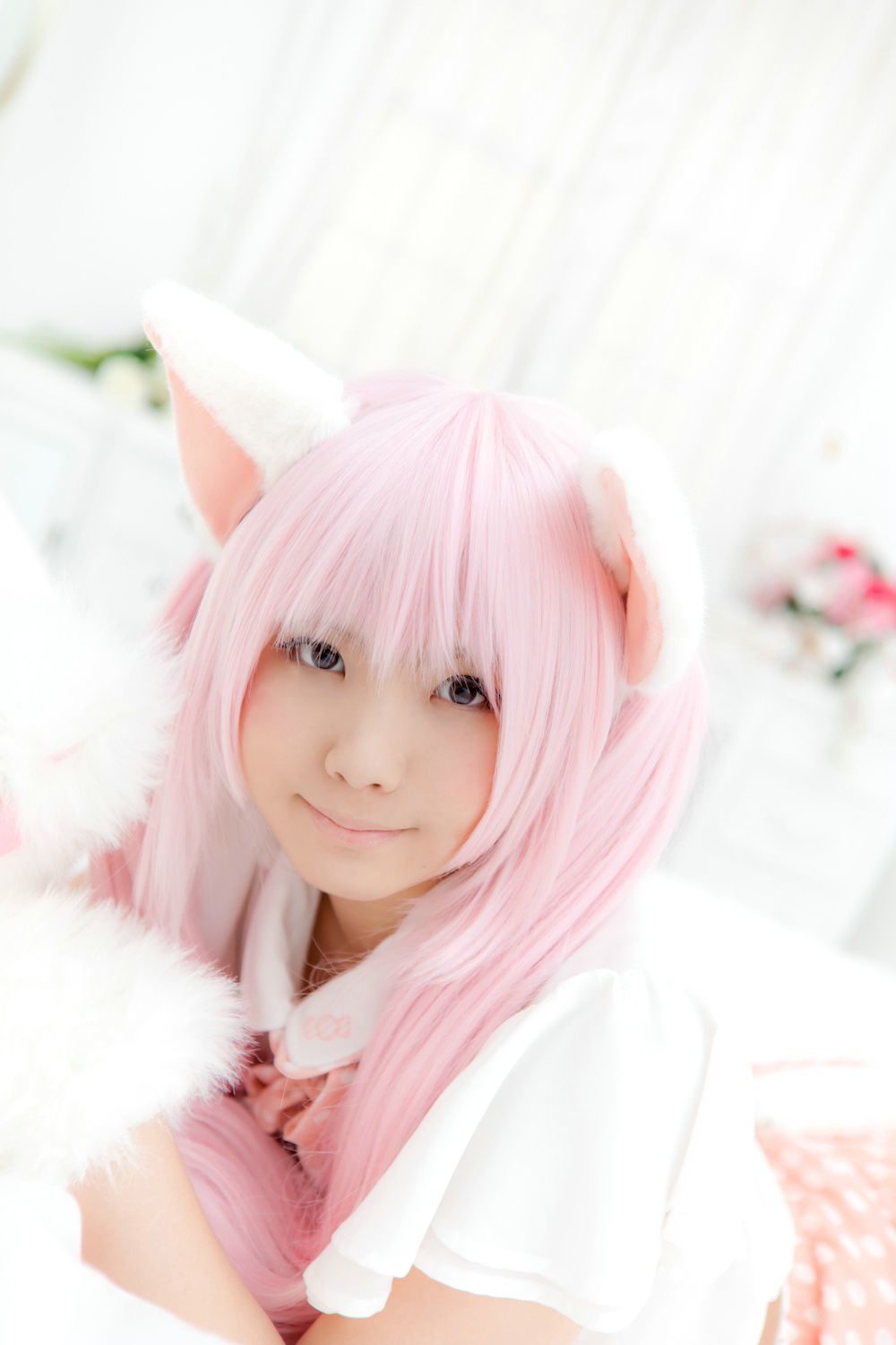 Enako(えなこ) [Enacat] Necomimi (ネコ耳)(White)
