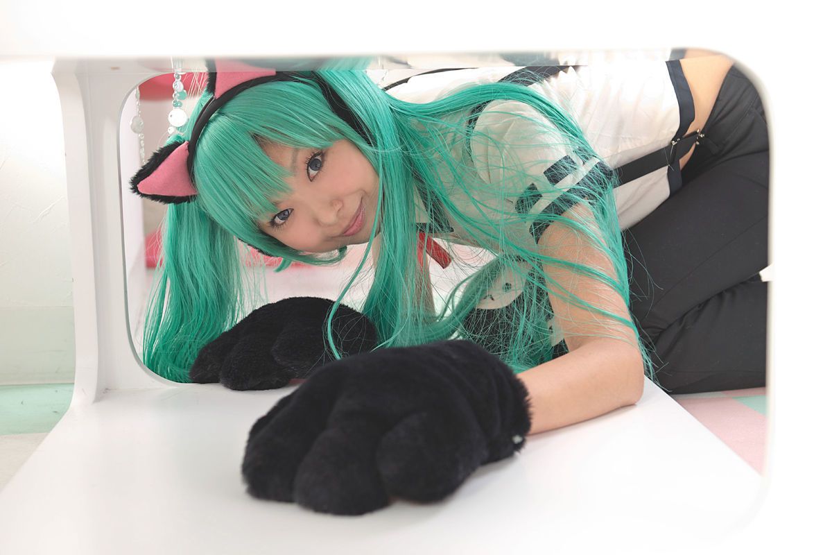 Necoco(ねここ) 《VOCALOID》Hatsune Miku(初音ミク)