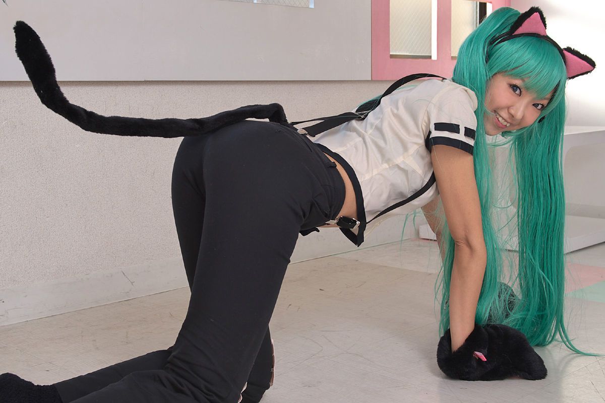 Necoco(ねここ) 《VOCALOID》Hatsune Miku(初音ミク)