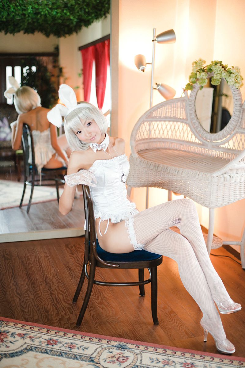 Necoco(ねここ) 《爱丽丝梦游仙境》5Set