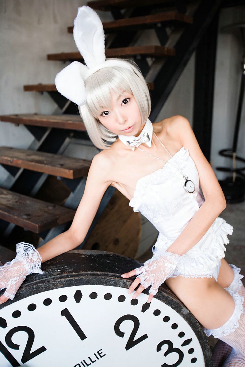 Necoco(ねここ) 《爱丽丝梦游仙境》5Set