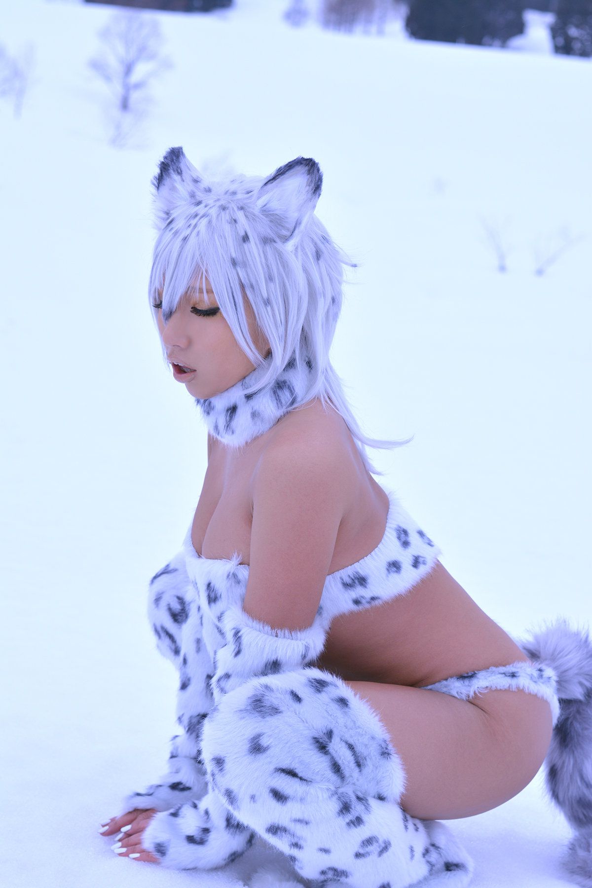 Non (Non SummerJack) Snow Leopard