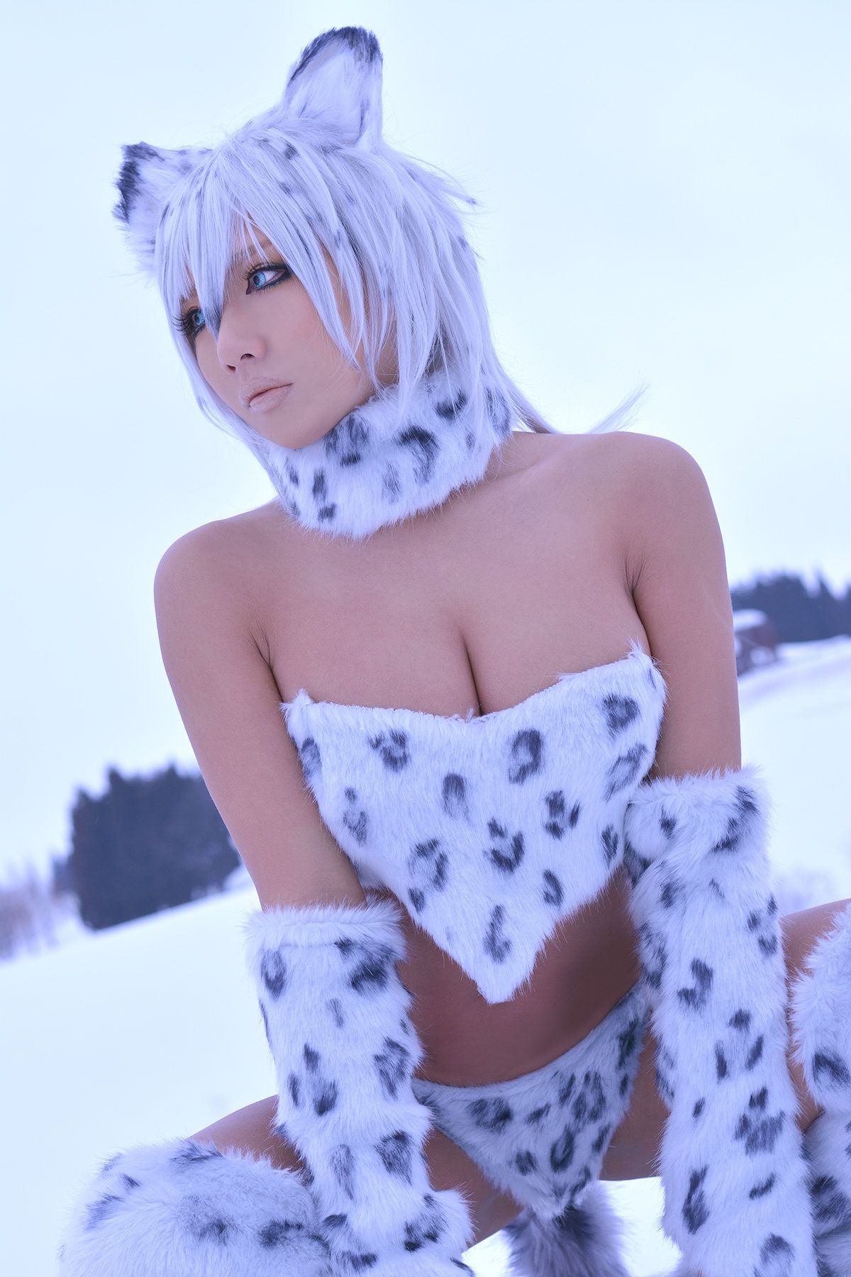 Non (Non SummerJack) Snow Leopard