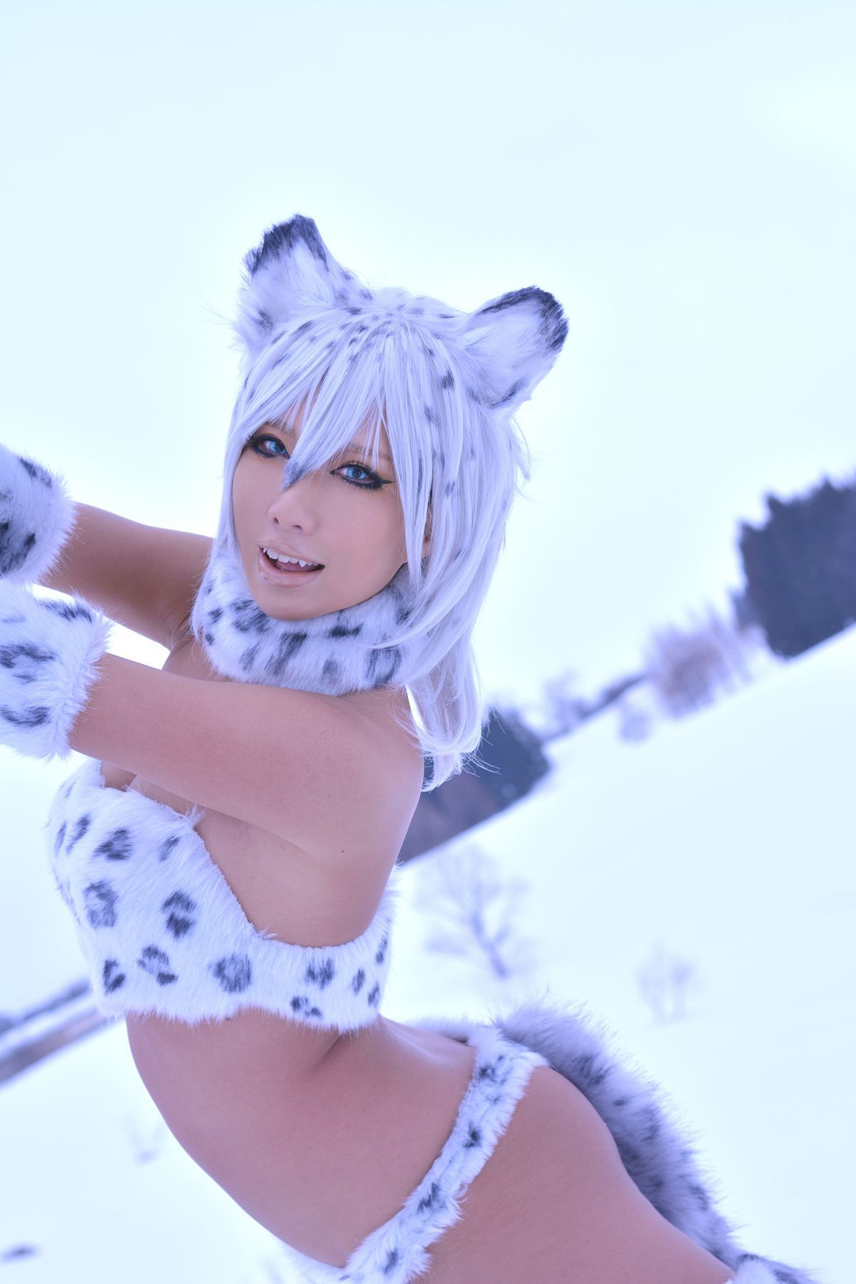 Non (Non SummerJack) Snow Leopard