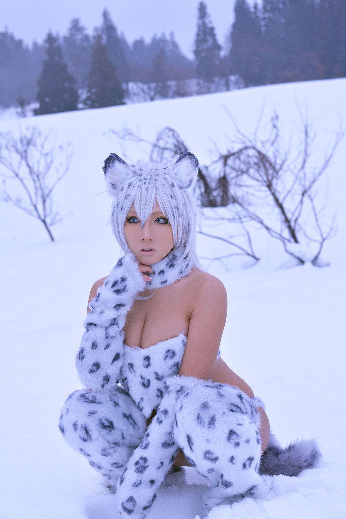 Non (Non SummerJack) Snow Leopard