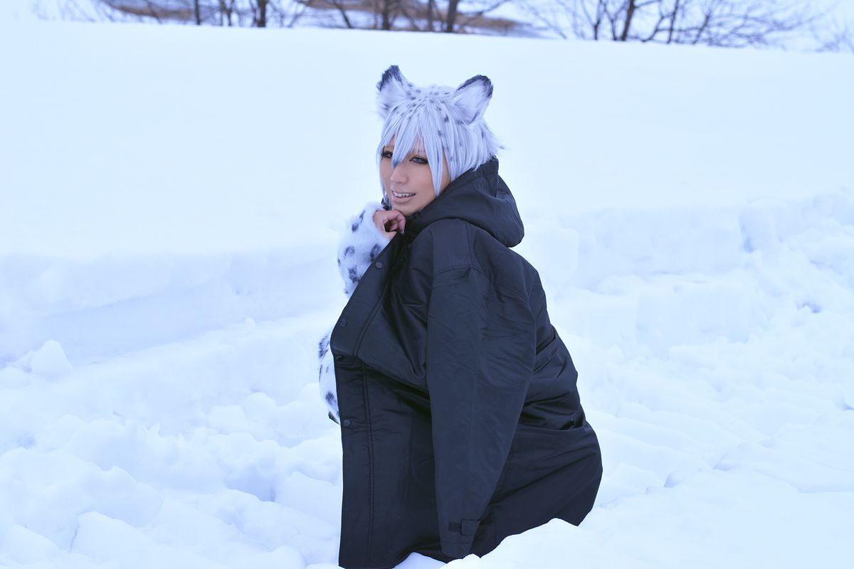 Non (Non SummerJack) Snow Leopard