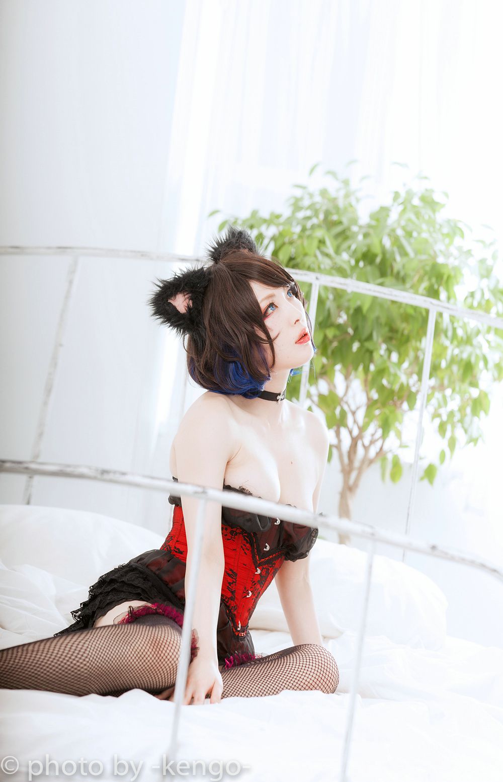 Usagi Necomimi [猫ソロ] [Rabbit hutch]