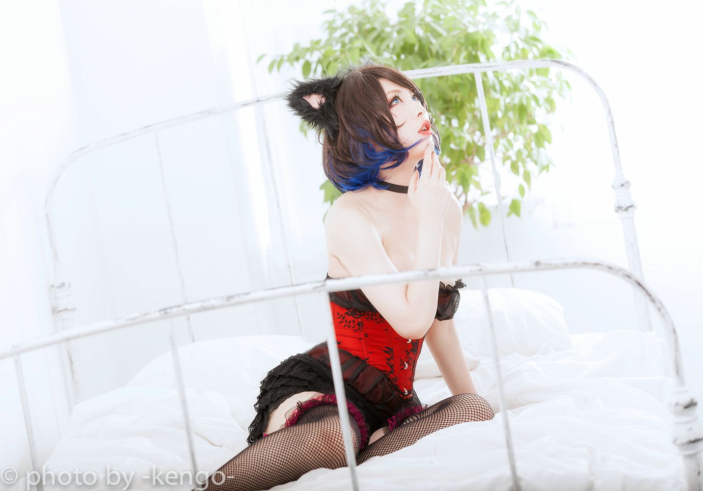 Usagi Necomimi [猫ソロ] [Rabbit hutch]