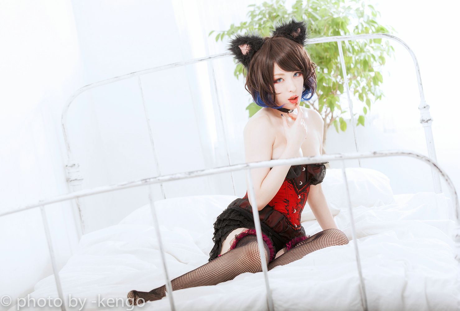 Usagi Necomimi [猫ソロ] [Rabbit hutch]