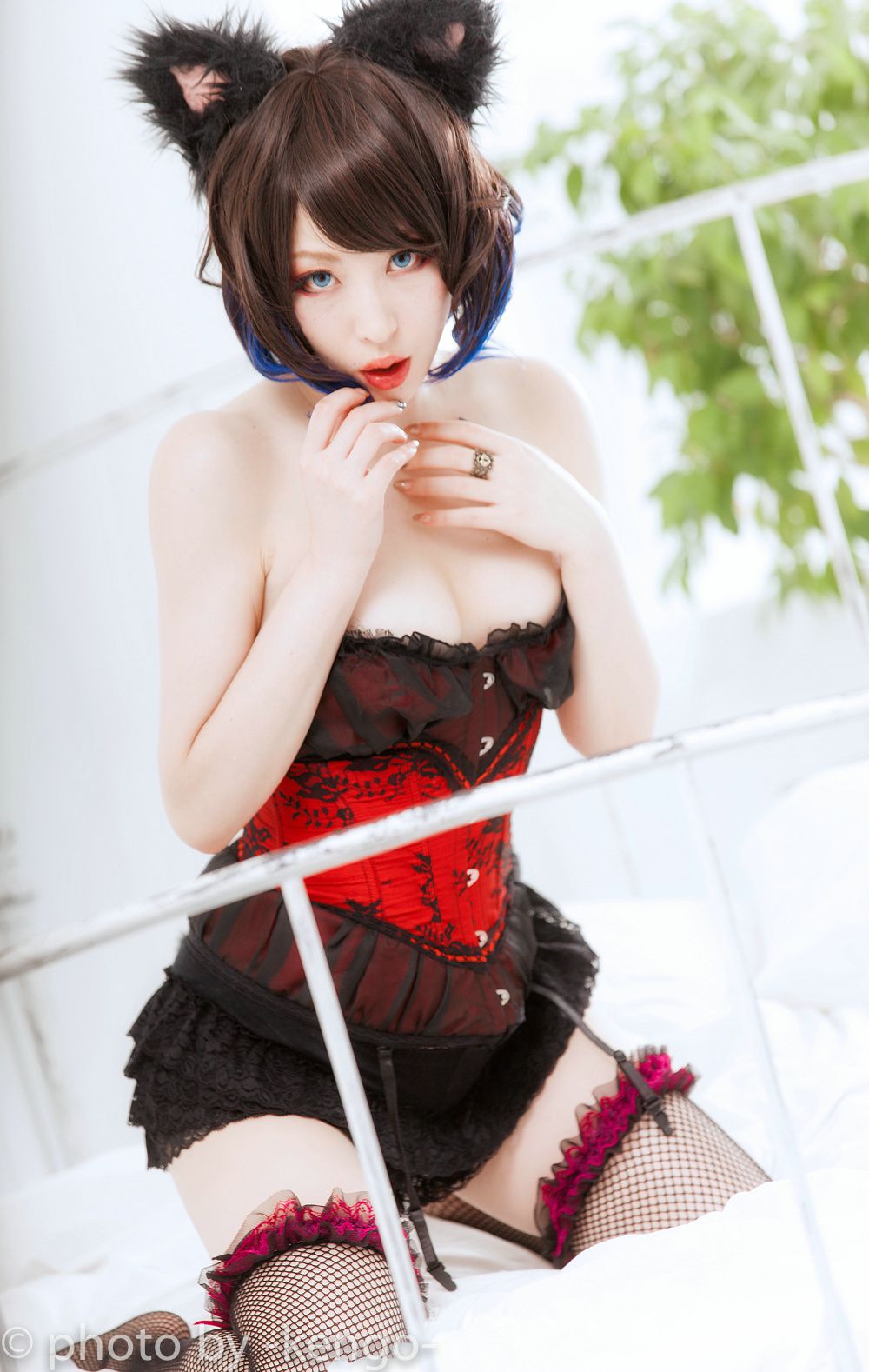 Usagi Necomimi [猫ソロ] [Rabbit hutch]