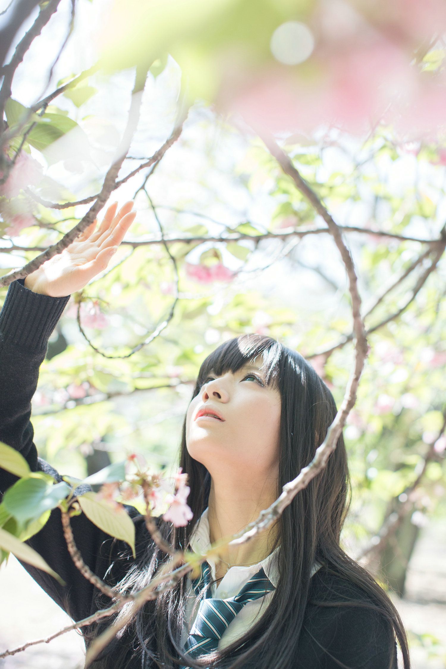 Usakichi(うさ吉) 《Idolmaster》渋谷凛 [Flameworks]