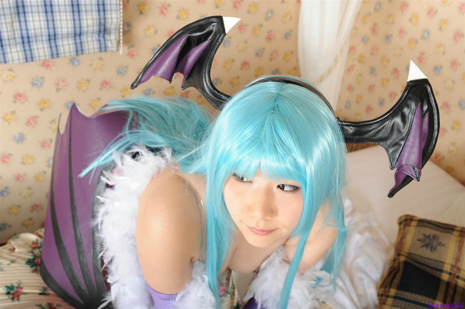丹雫ひよ (Nishizuku Hiyo) 《Vampire》Morrigan Aensland  [HiyoHiyo Club]