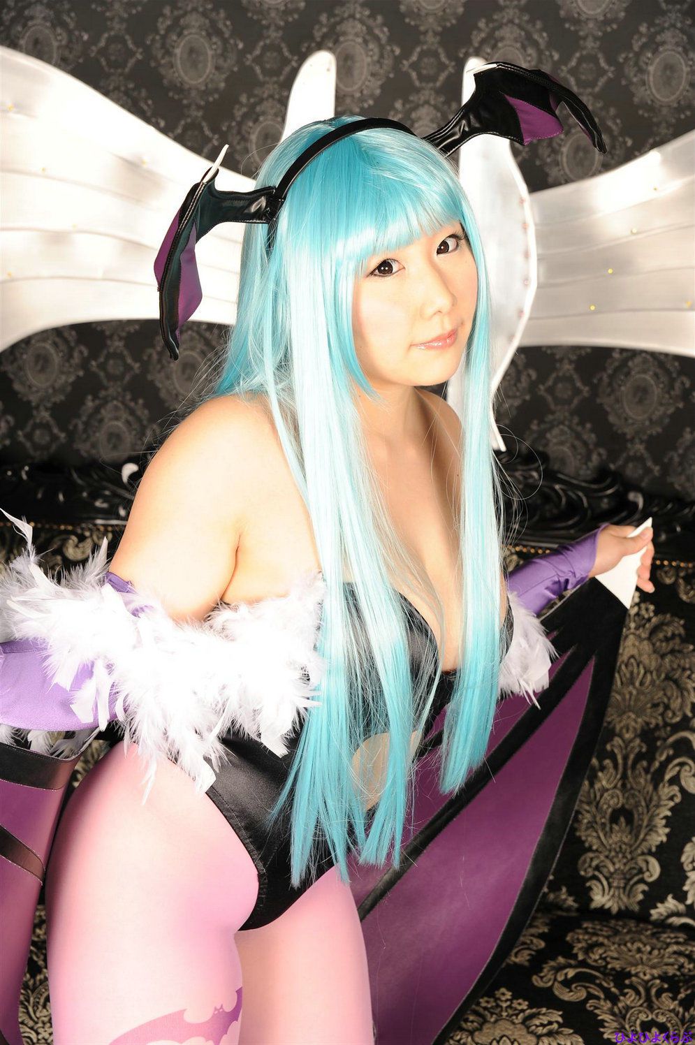 丹雫ひよ (Nishizuku Hiyo) 《Vampire》Morrigan Aensland  [HiyoHiyo Club]