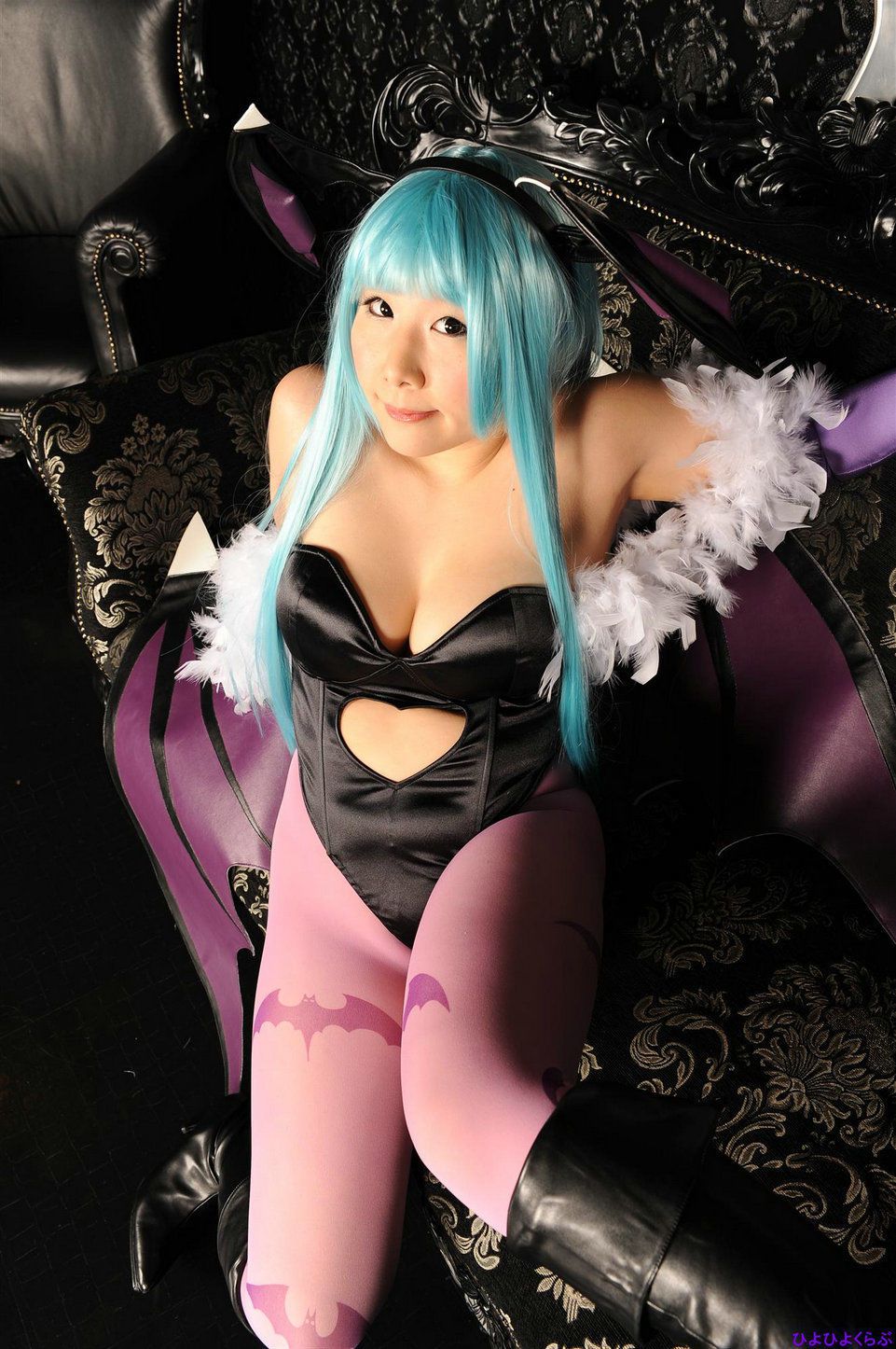 丹雫ひよ (Nishizuku Hiyo) 《Vampire》Morrigan Aensland  [HiyoHiyo Club]